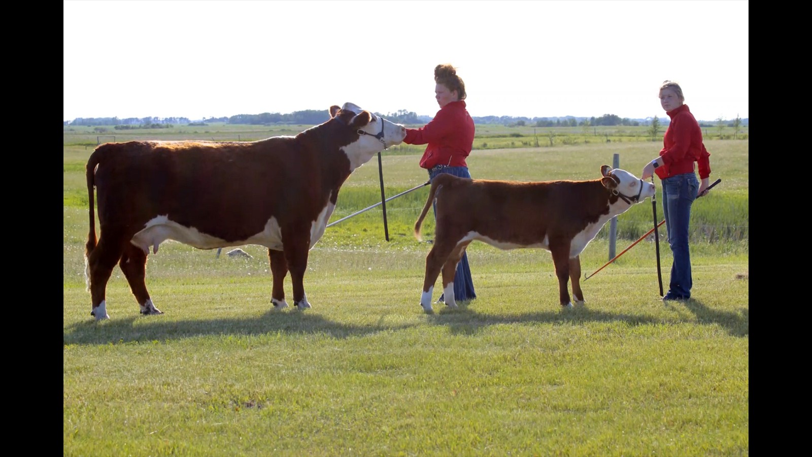 30-58-3C-Teegan Hyndman