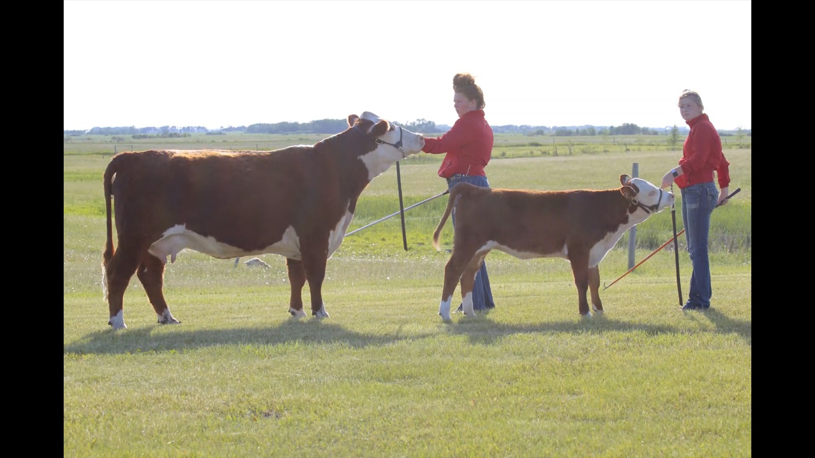 30-58-9-Teegan Hyndman