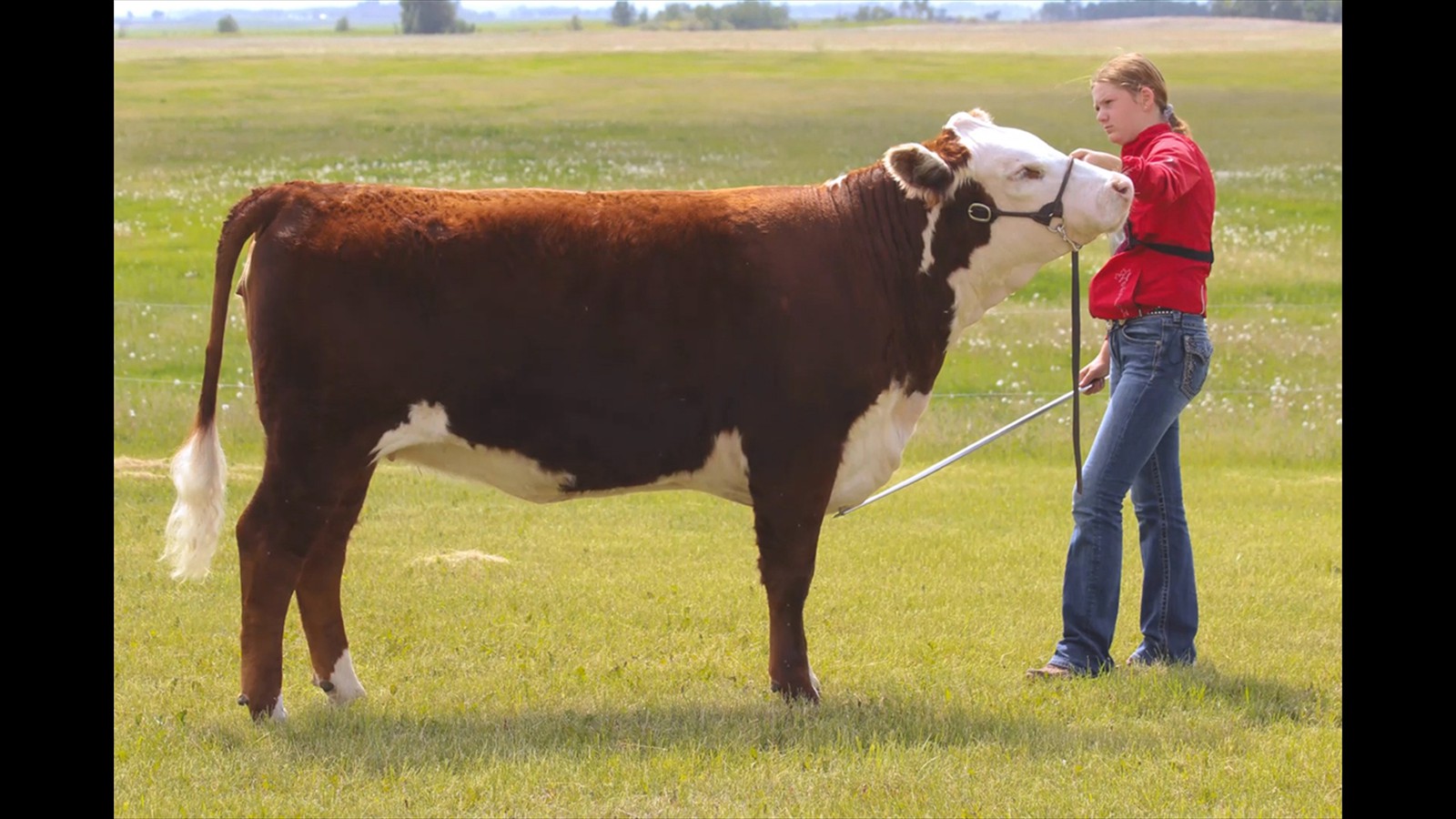 30-60-2D-Teegan Hyndman