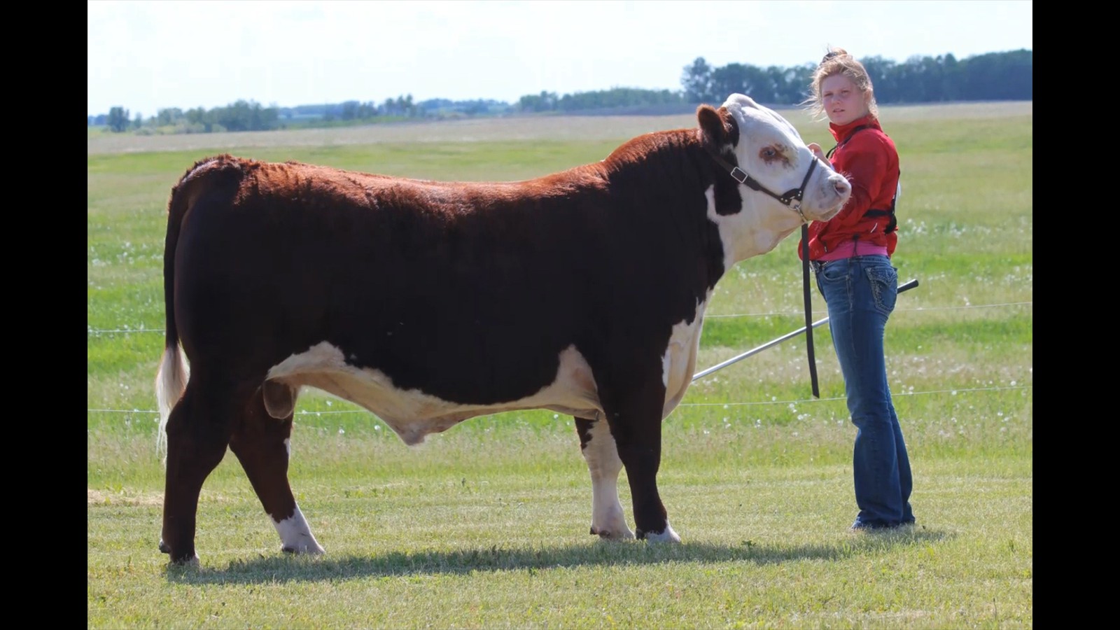 30-61-5C-Teegan Hyndman