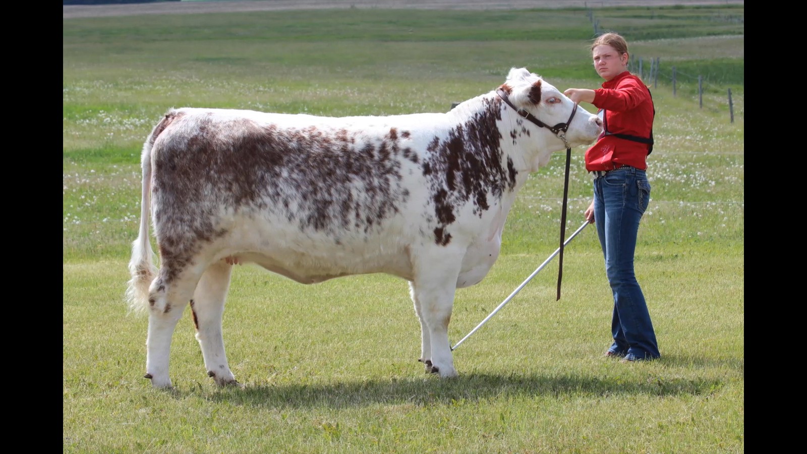 30-62-24-Teegan Hyndman