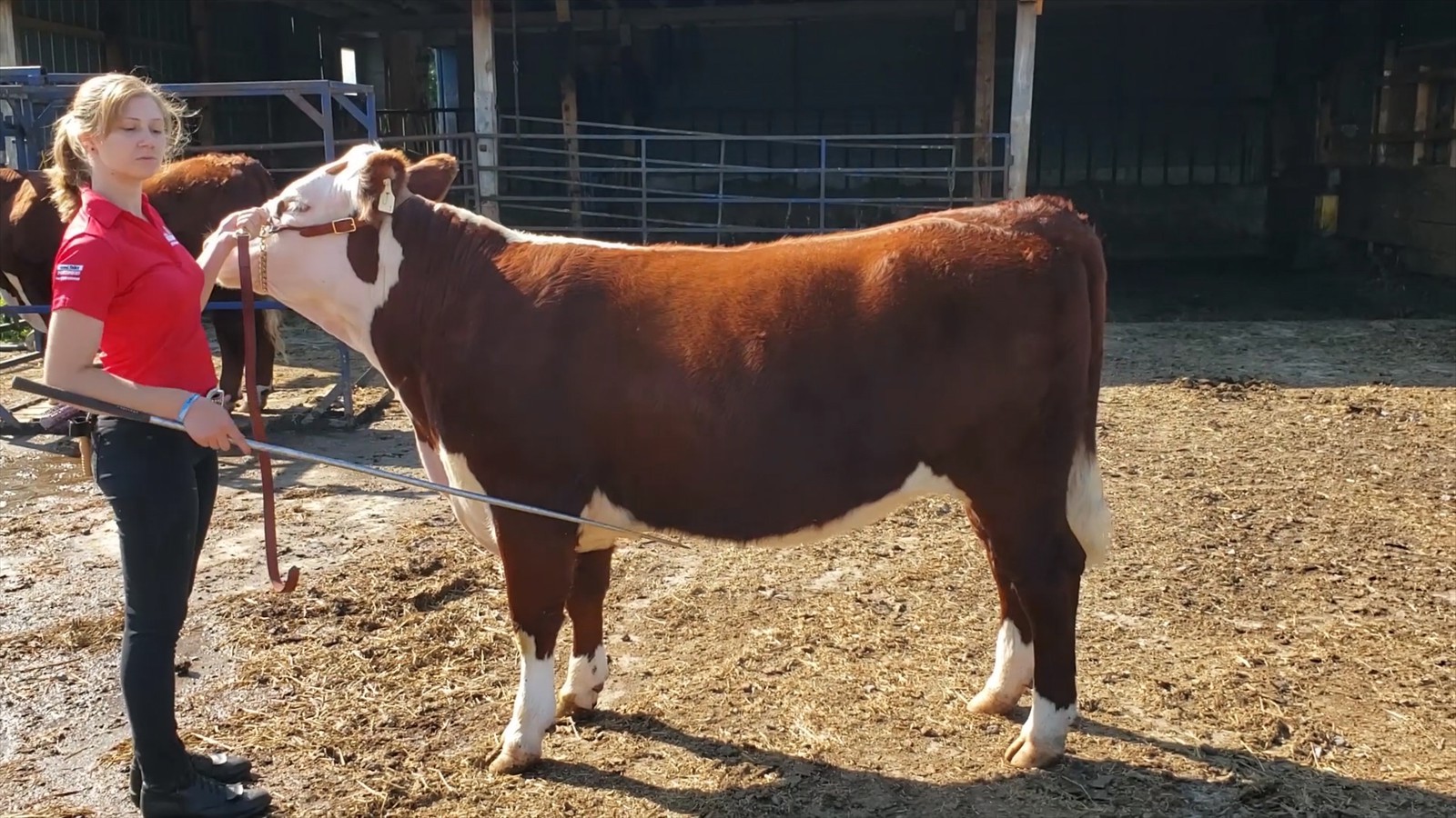 31-63-20-Shae-Lynn Bell