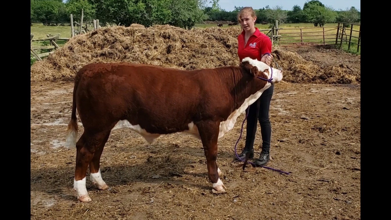 31-64-16-Shae-Lynn Bell