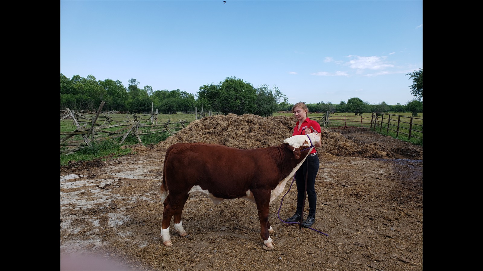 31-64-4-Shae-Lynn Bell