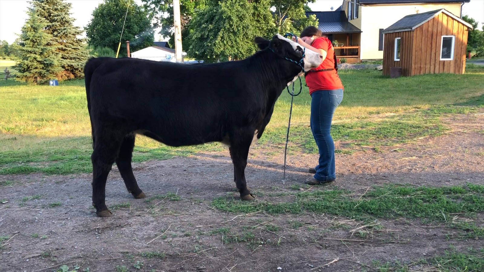 33-68-24-Rachel Hayes