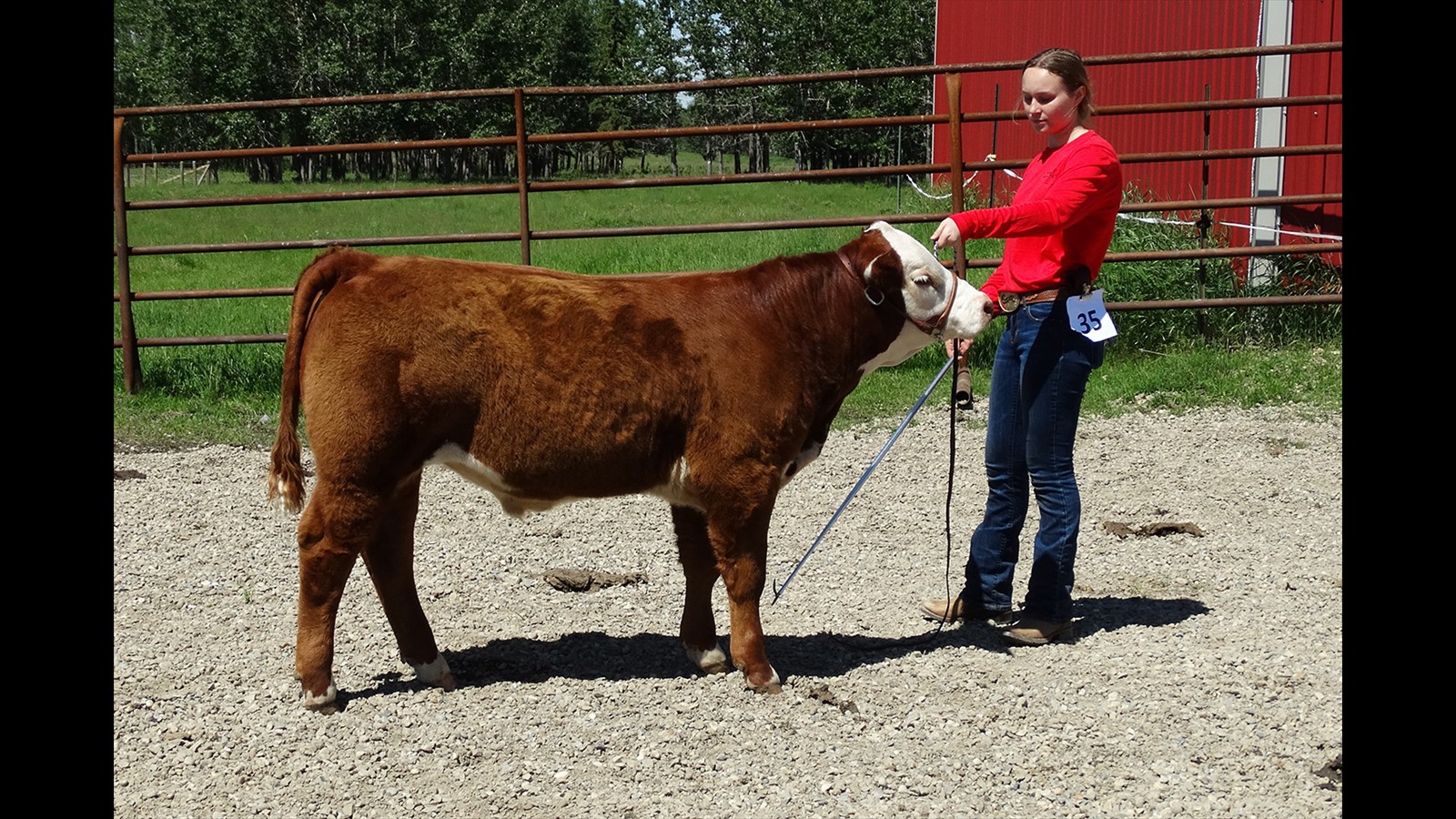 35-70-10A-Alexa Bricker