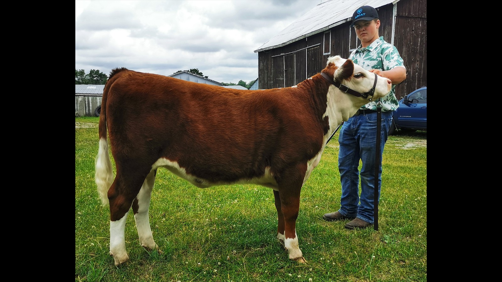 37-73-1-Hunter Massionuive