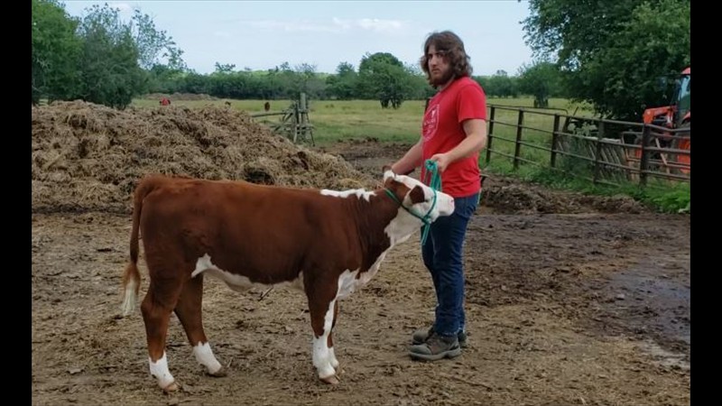 38-75-1-Christopher Bell