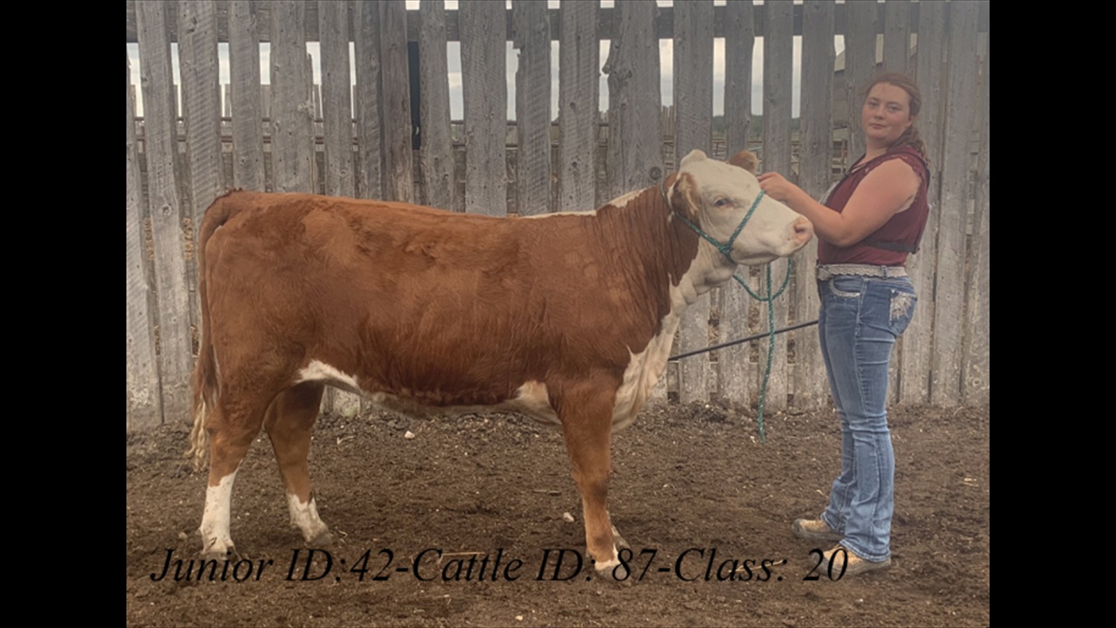 42-87-20-Jesse Procyk