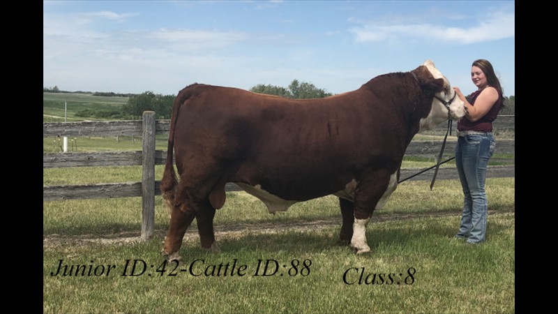 42-88-6-Jesse Procyk