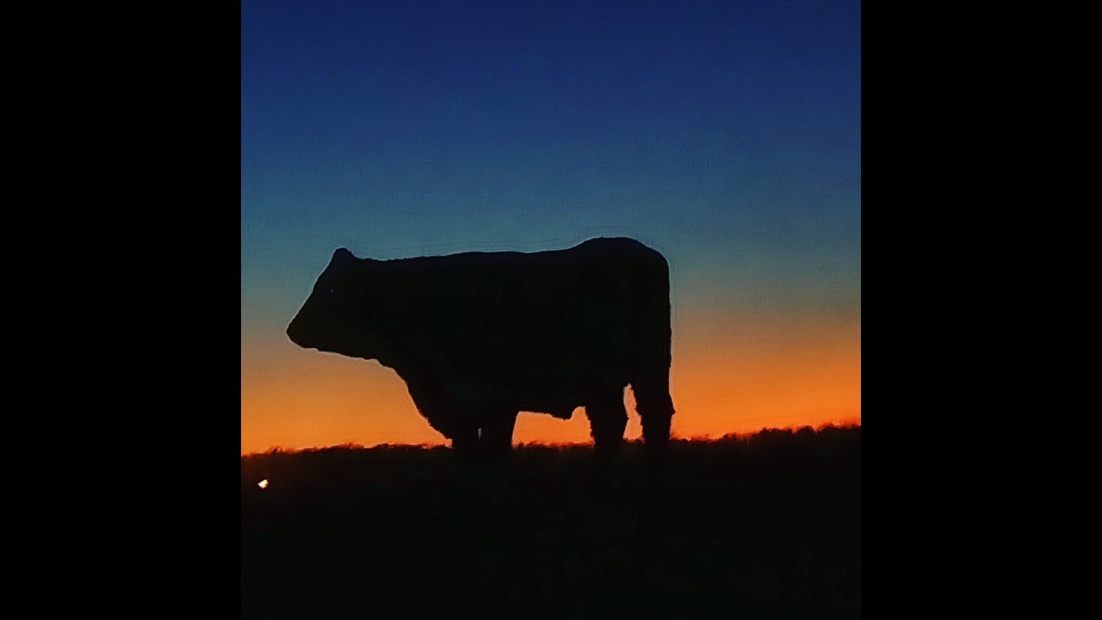 45-29 - Clarissa Passow