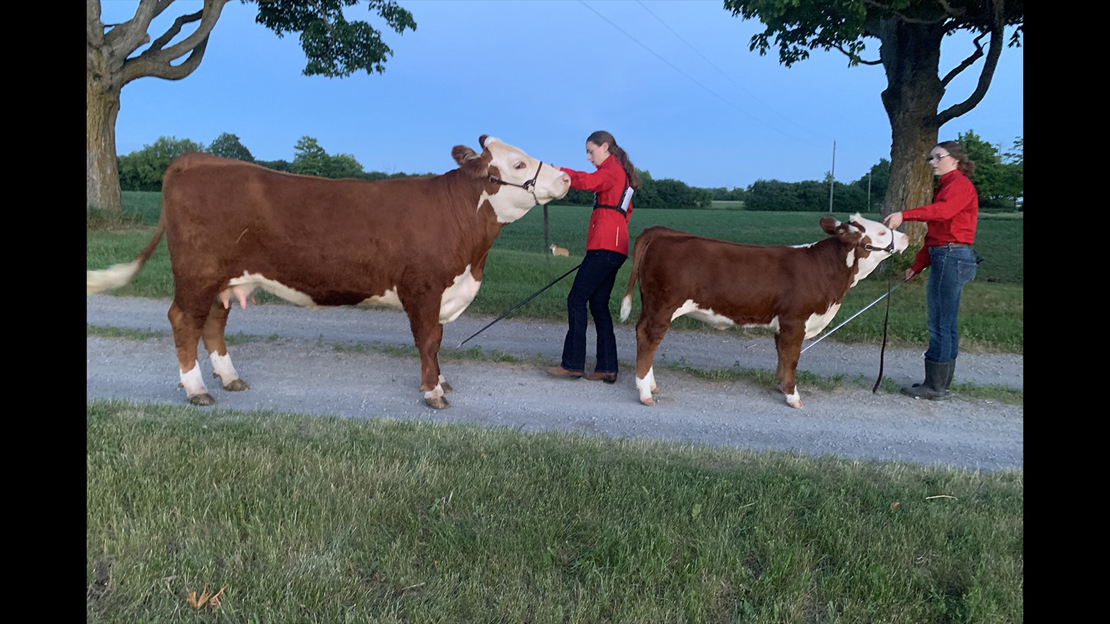 49-104-3-Sadie-Jane Hickson