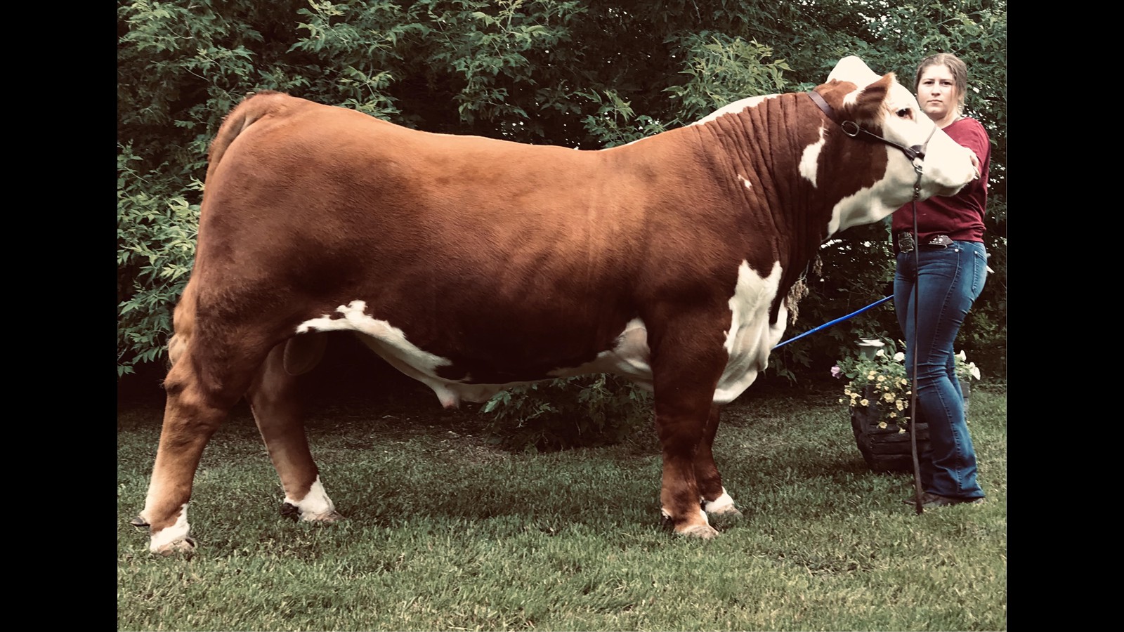 50-105-11-Gabrielle  Cheremshynski