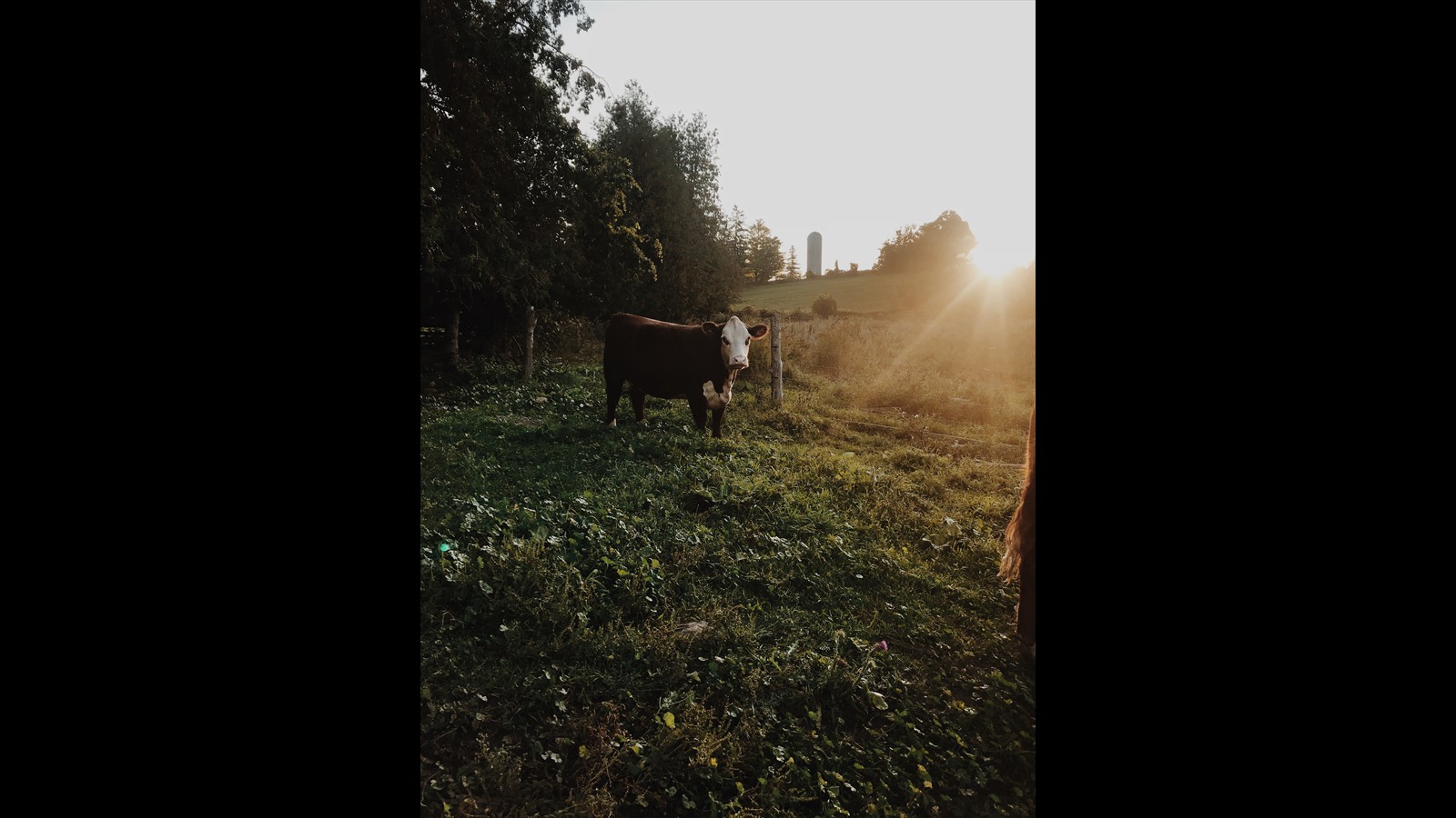 51-29 - Brittany Sherry