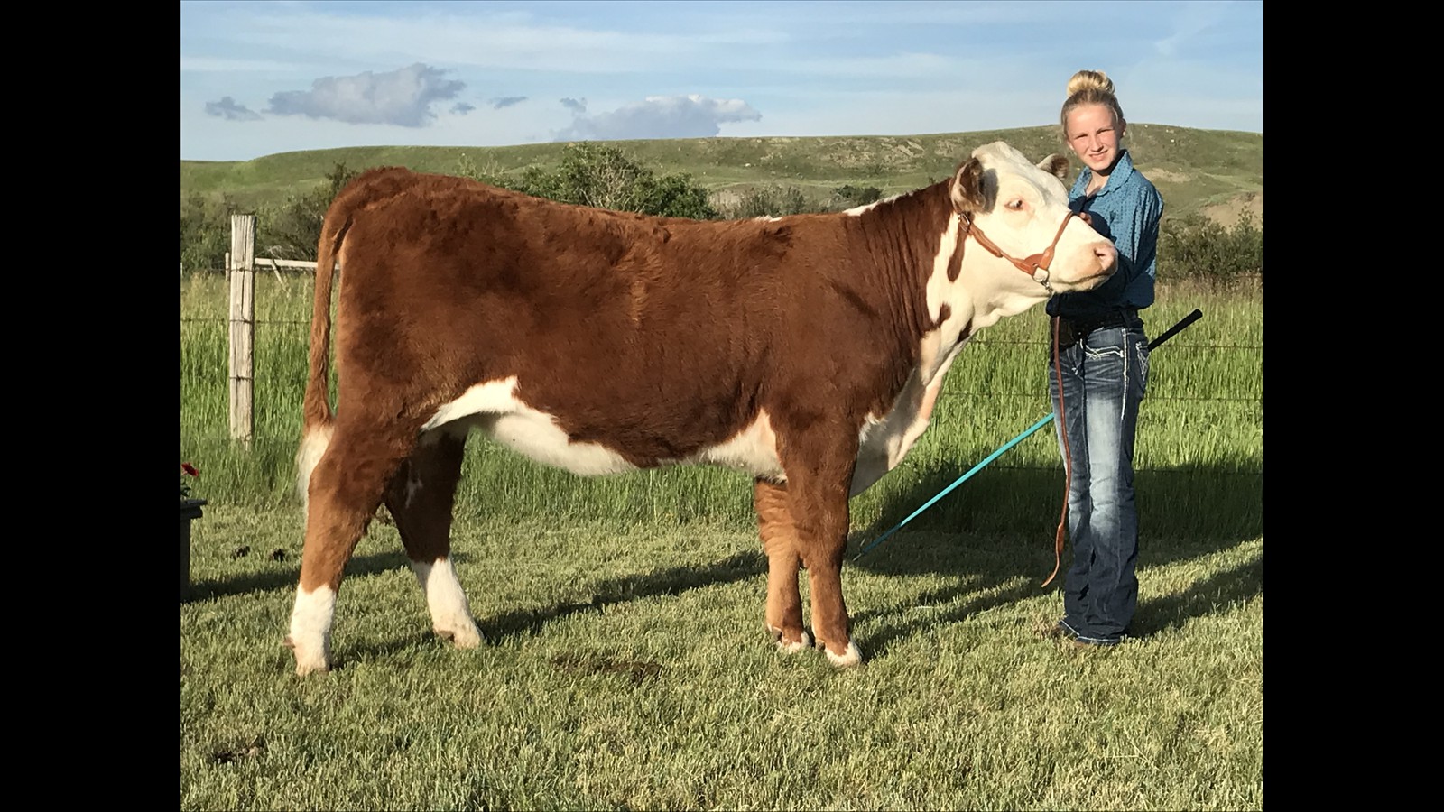 52-111-20-Jane  Stafford