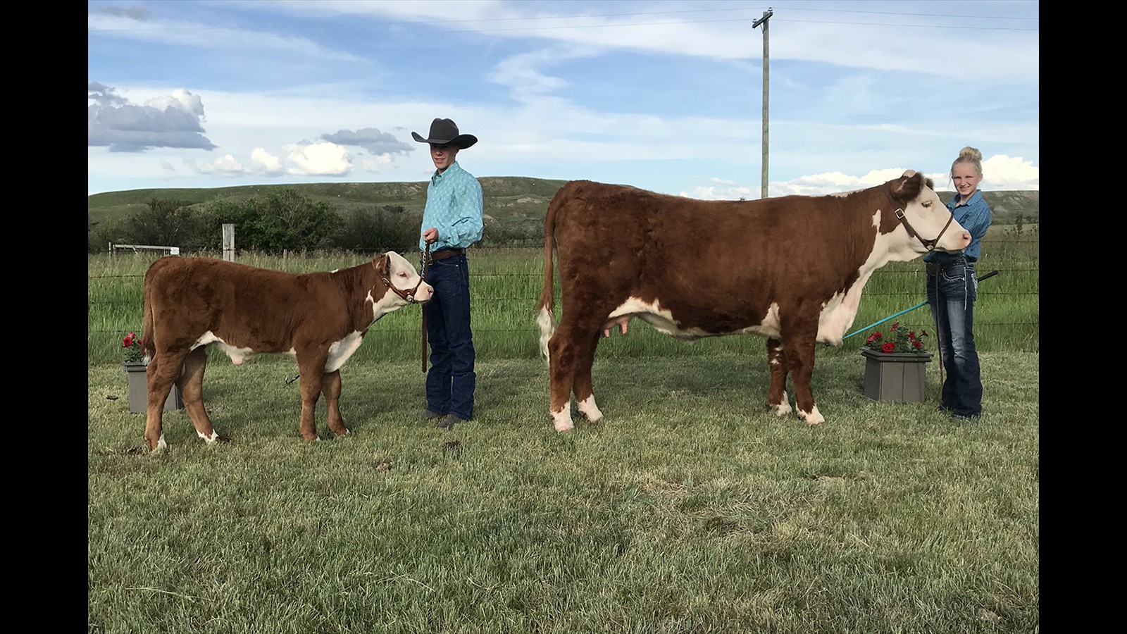 52-112-3-Jane Stafford