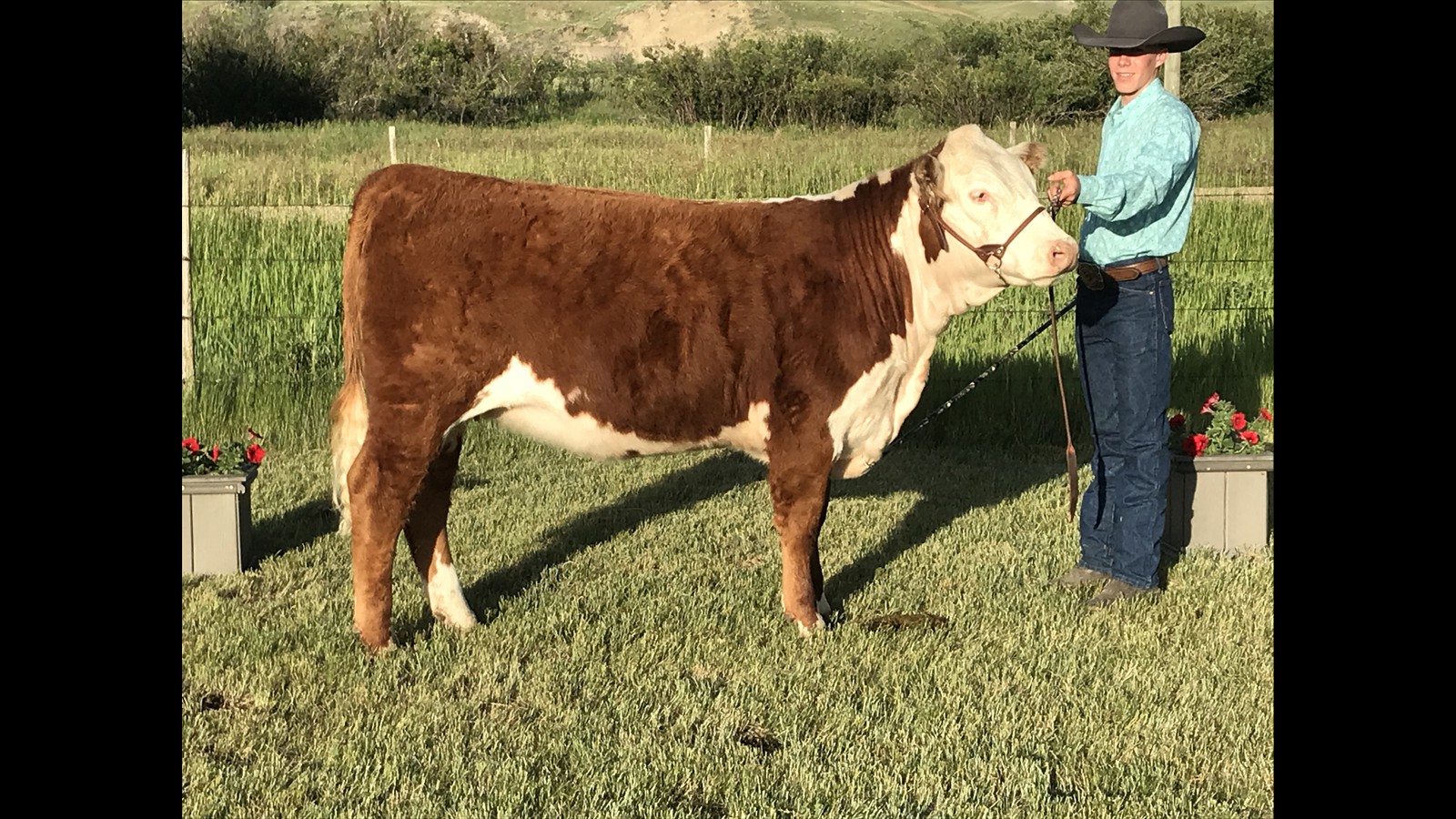 53-113-2-Rylan Stafford