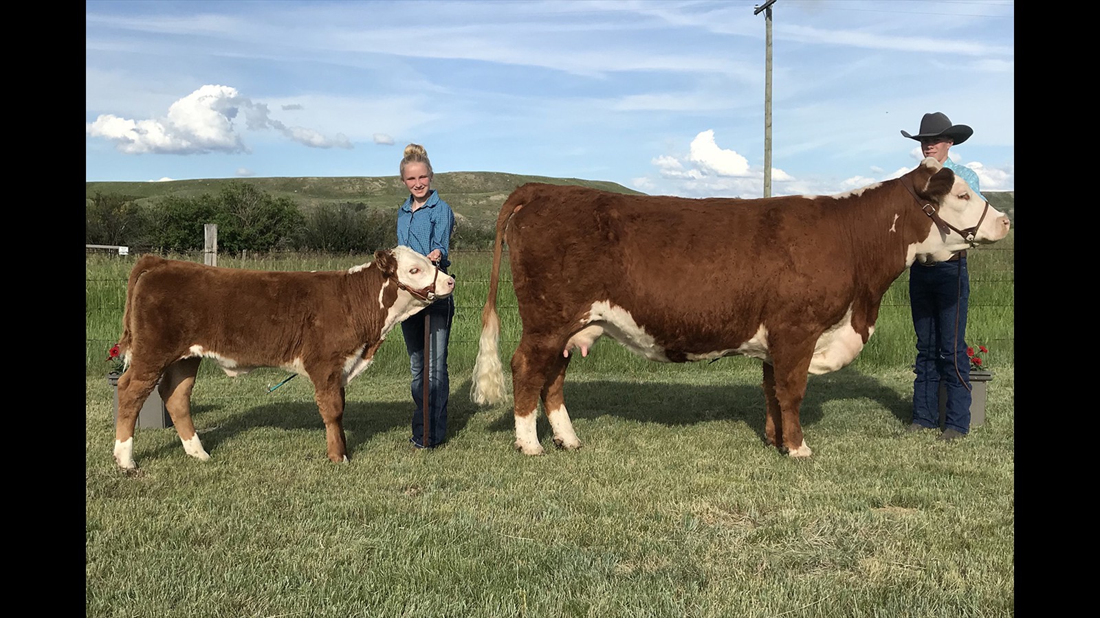 53-114-3-Rylan Stafford