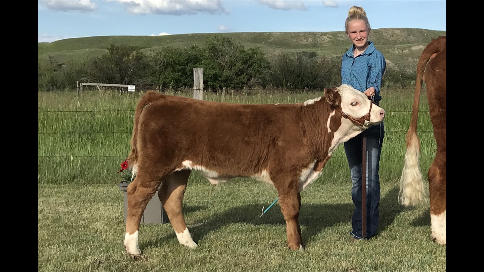 53-115-16-Rylan Stafford