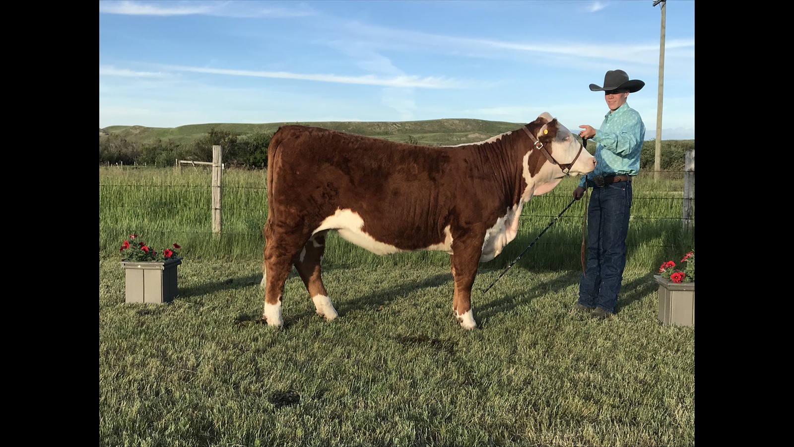 53-116-24-Rylan Stafford