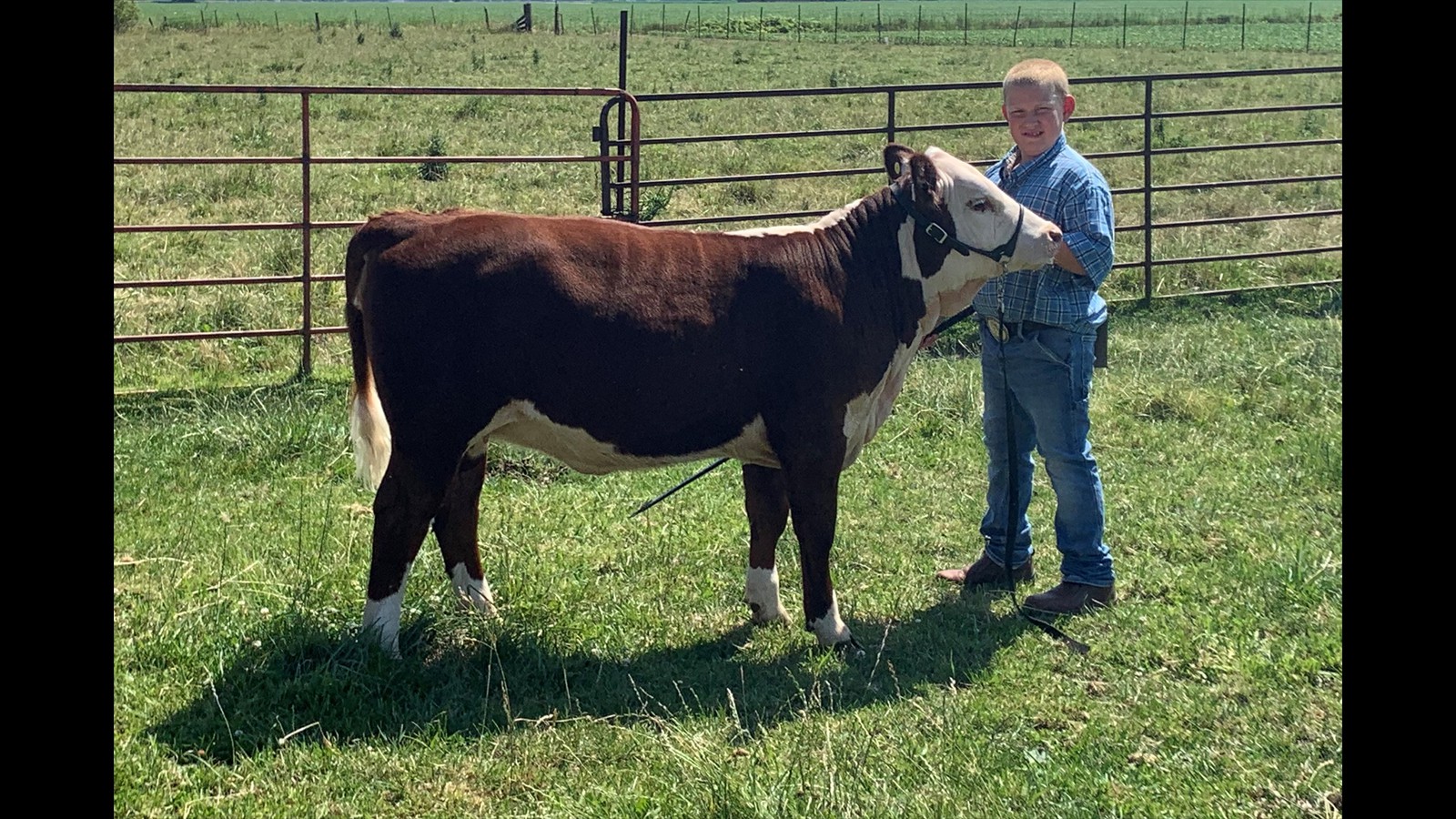 54-117-1-Kade Van Esse