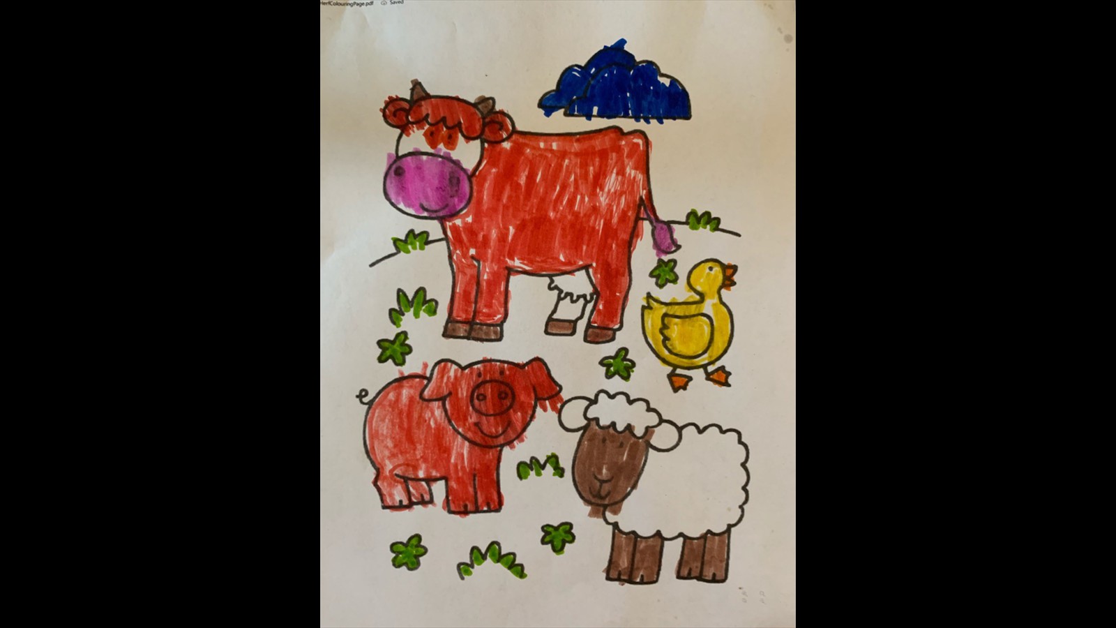 56-35 - Koll Van Esse