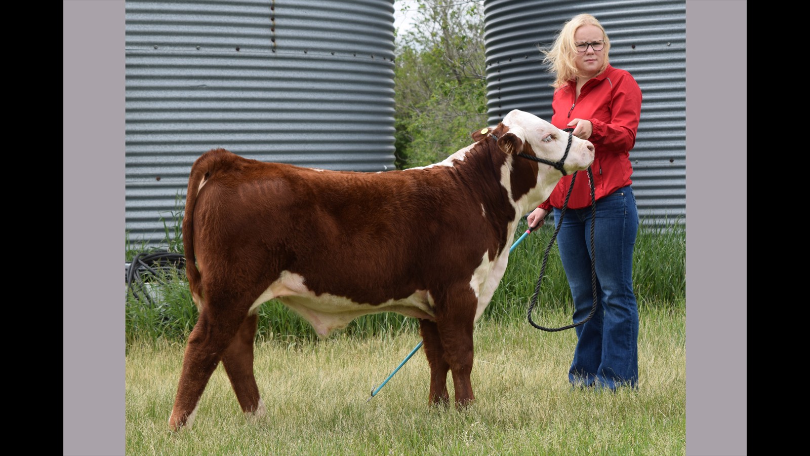 59-119-3-Emma Nicholas Calf