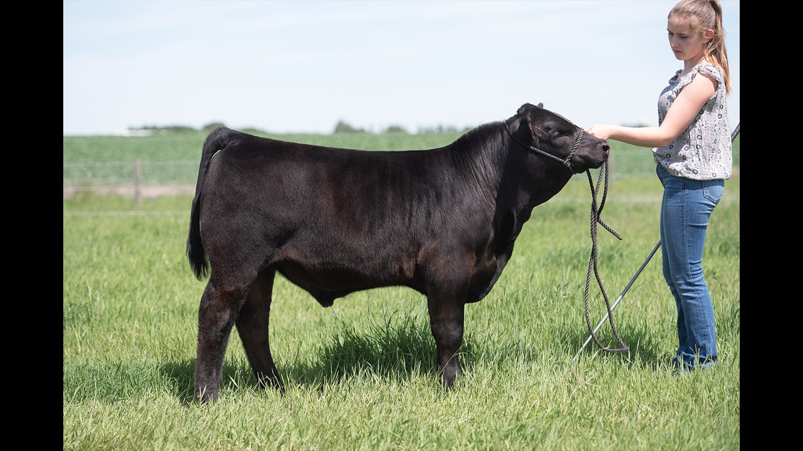 59D - Trinity Martin - CM Bull