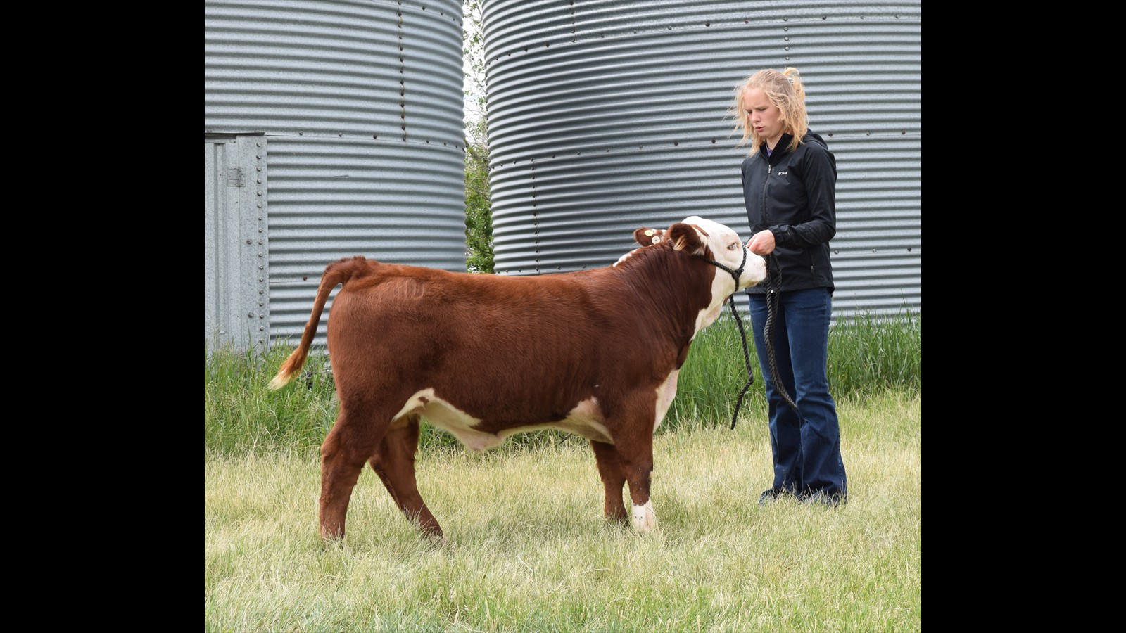 60-124-4-Megan Nicholas