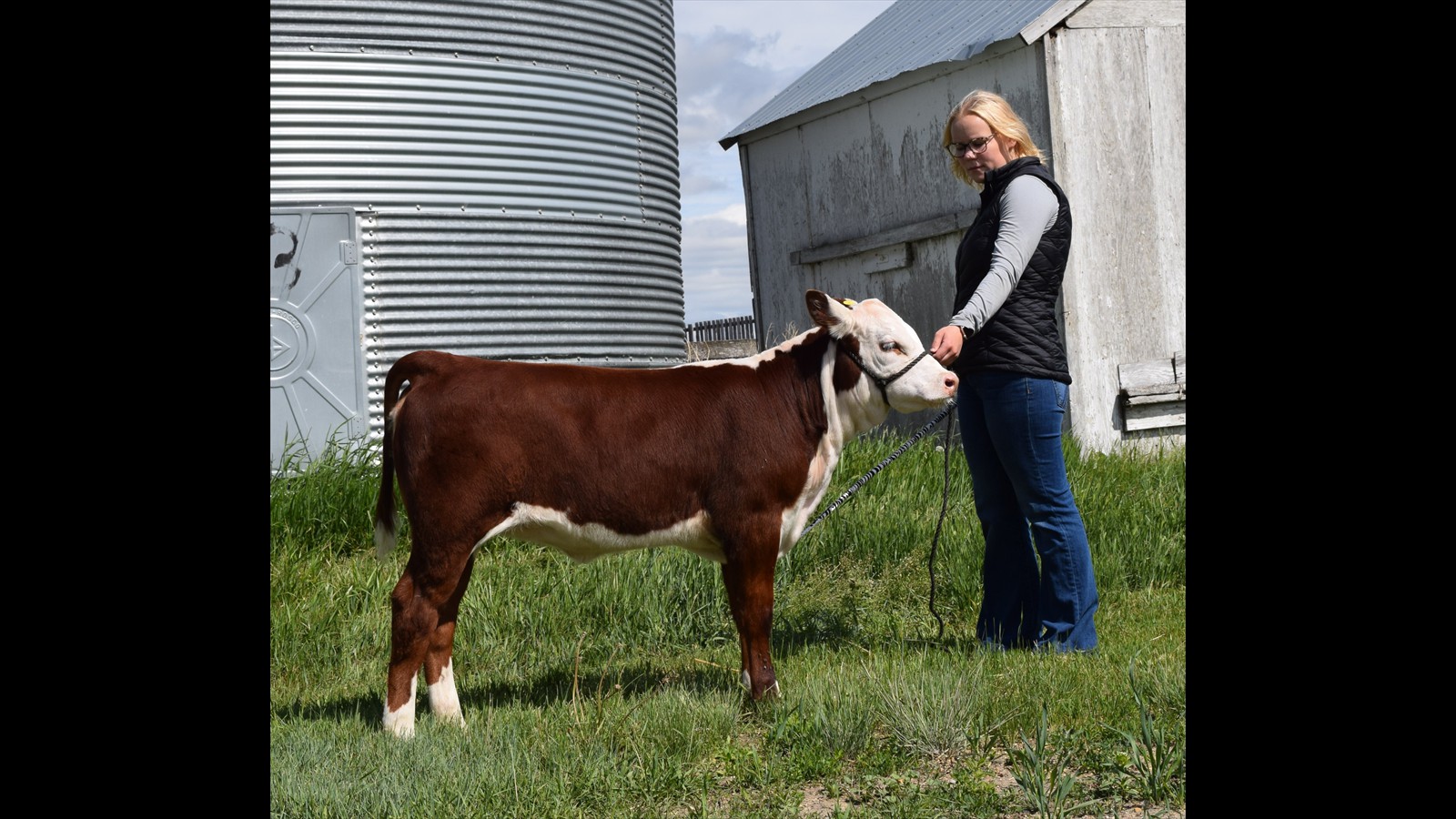 61-125-3b-Kalla Nicholas Calf