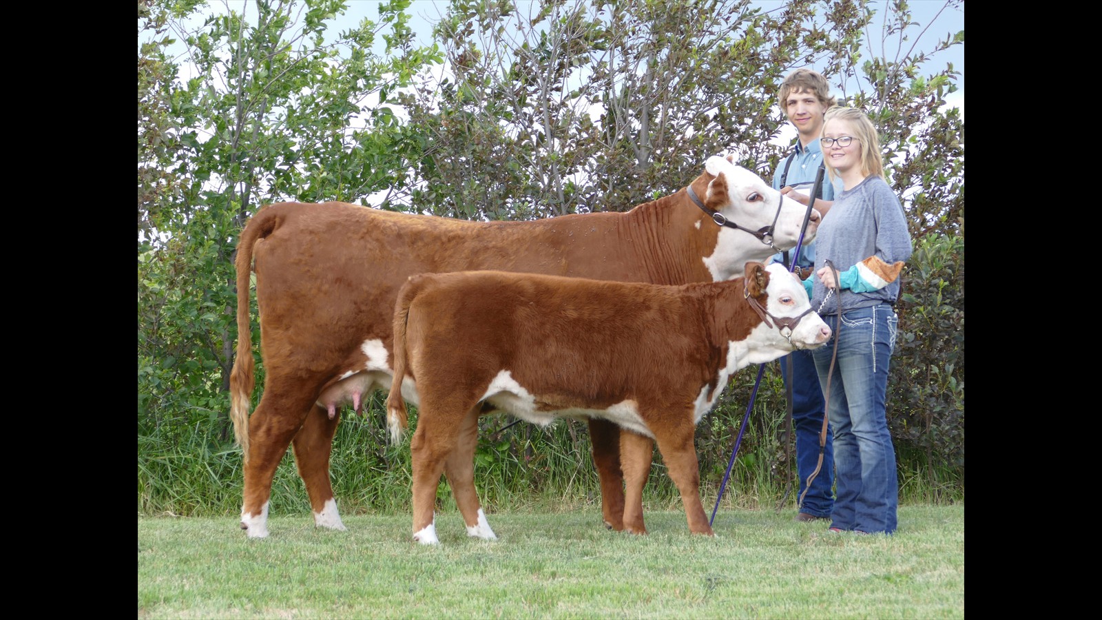 63-132-9-Daniel Schuepbach