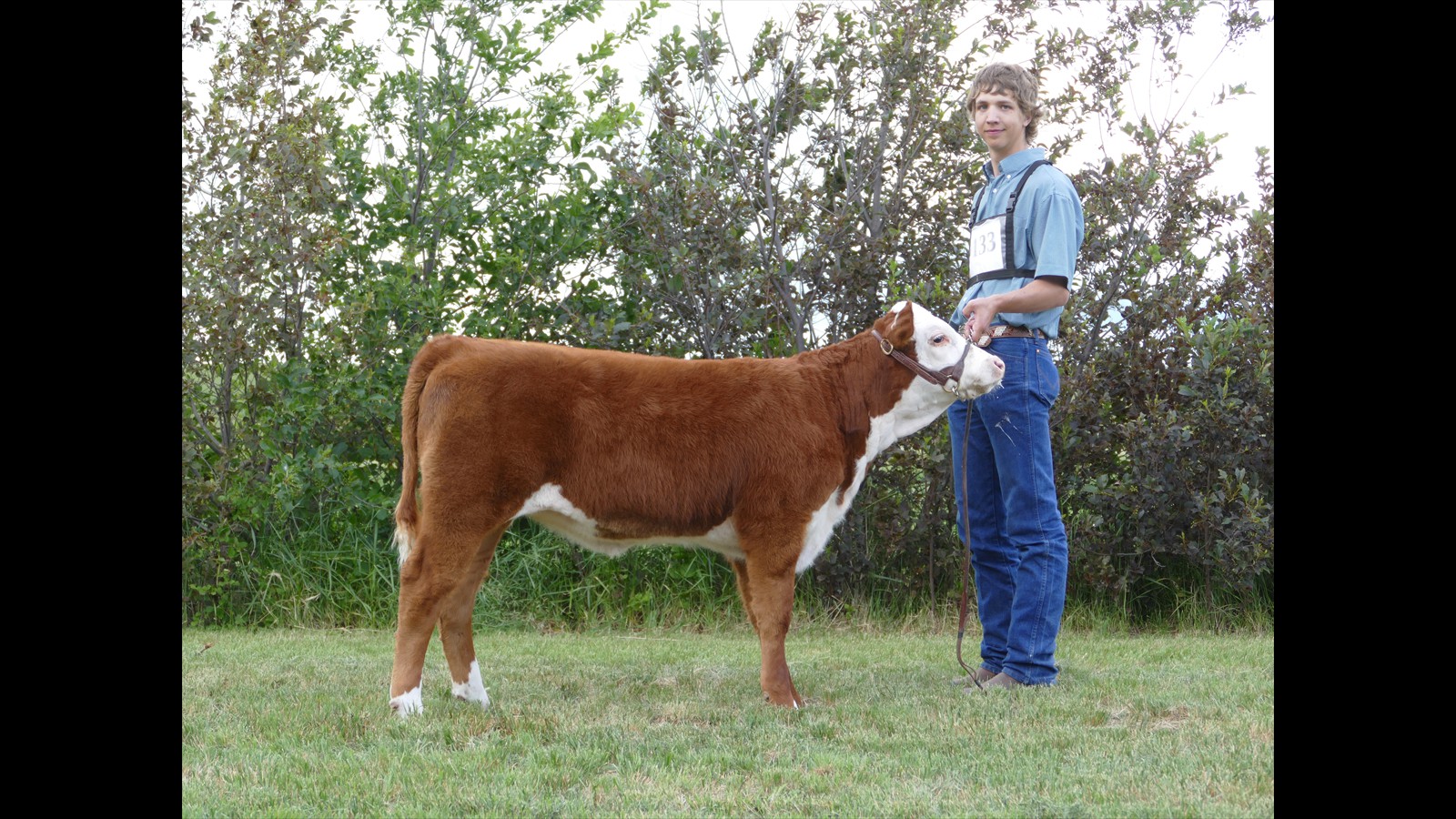 63-133-1 -Daniel Schuepbach