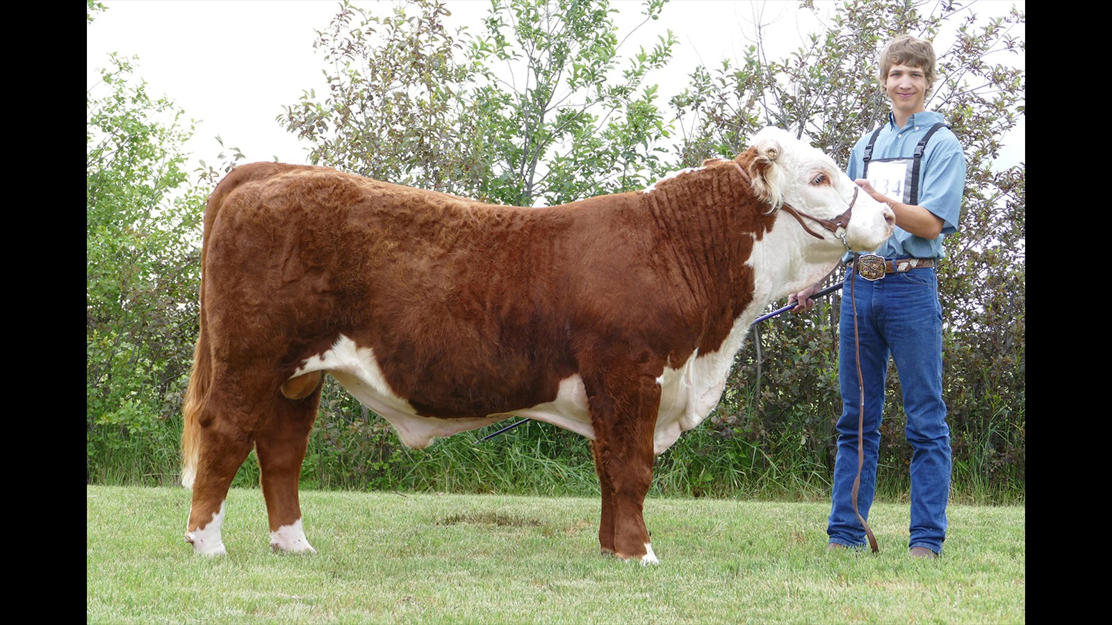 63-134-11-Daniel Schuepbach