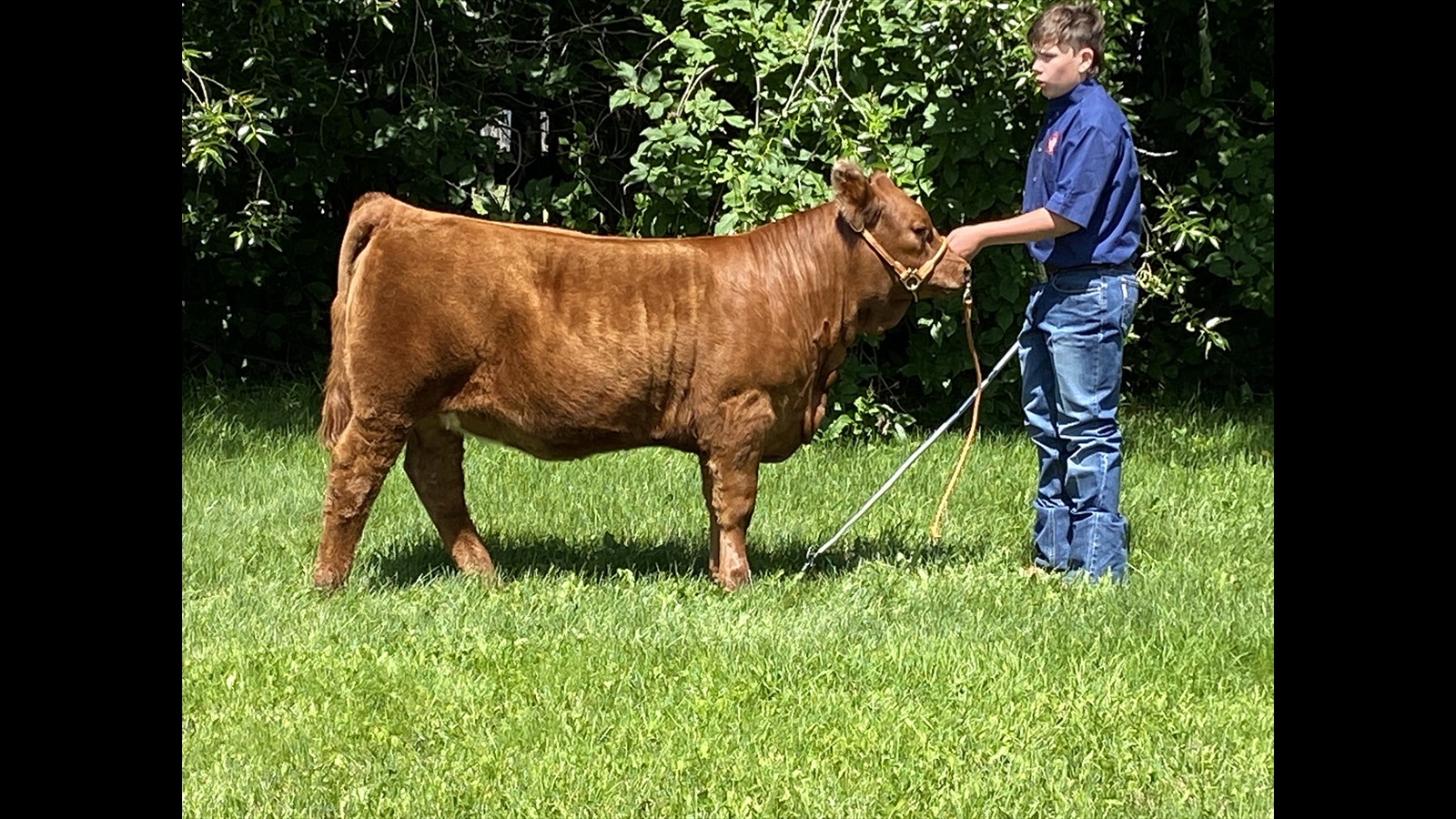 63A - JR Good - PB HF