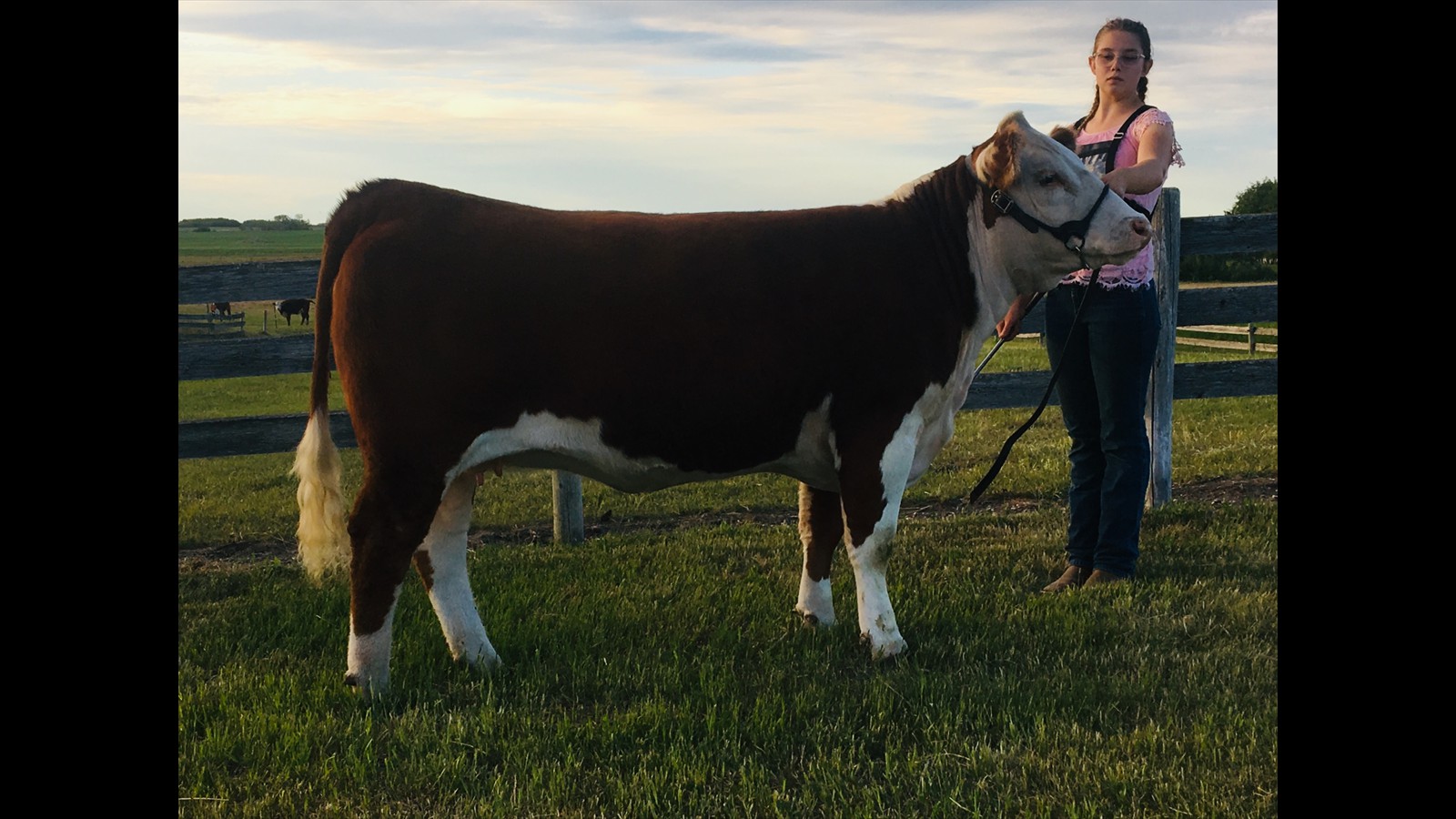 66-143-2-Lexi O'Connor