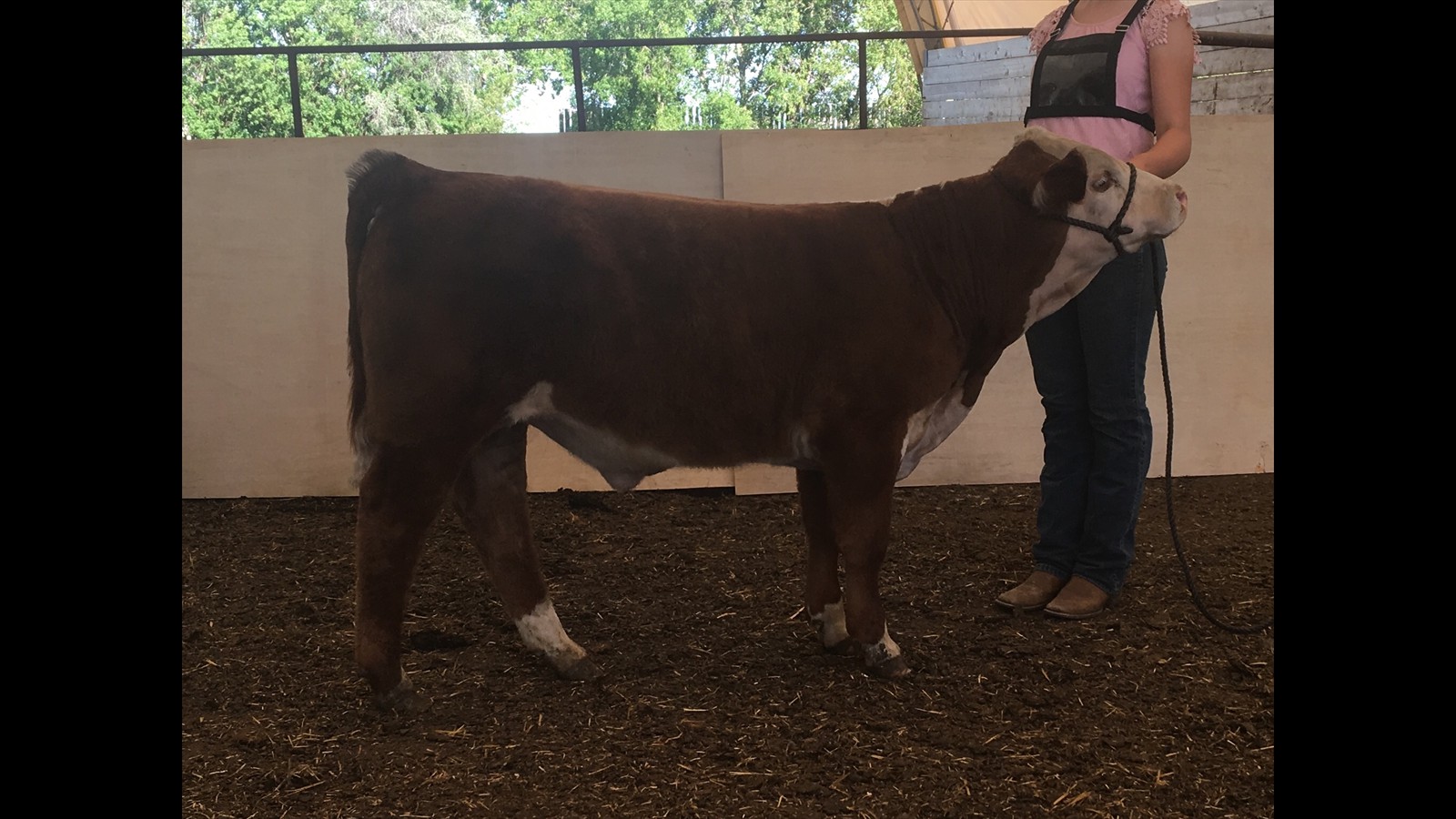 66-144-4-Lexie O'Connor