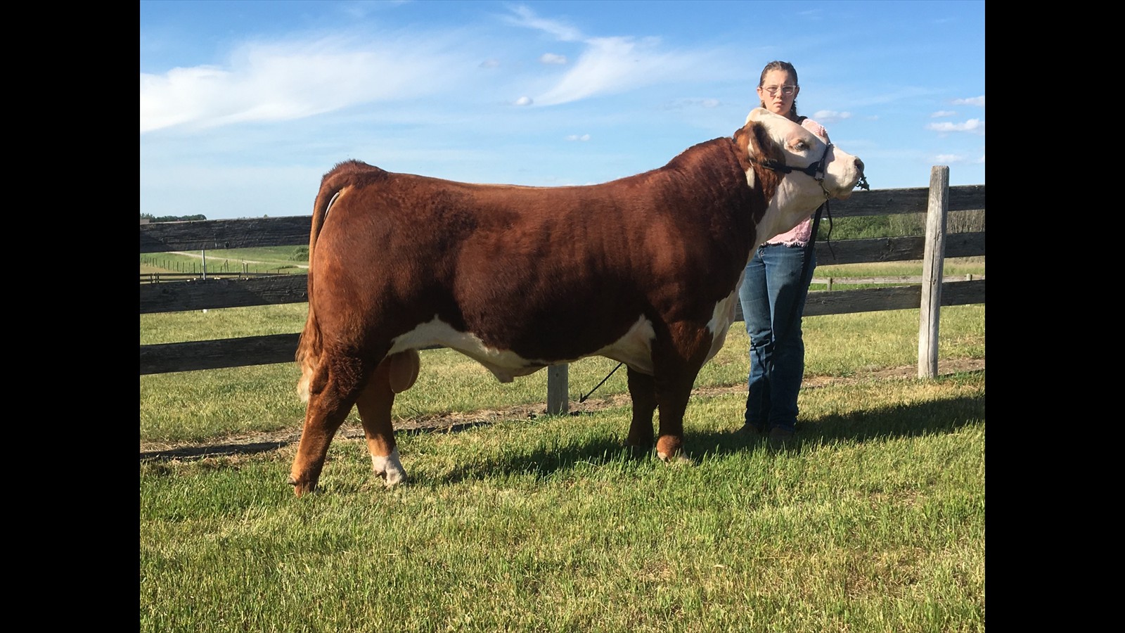 66-145-5-Lexi O'Connor