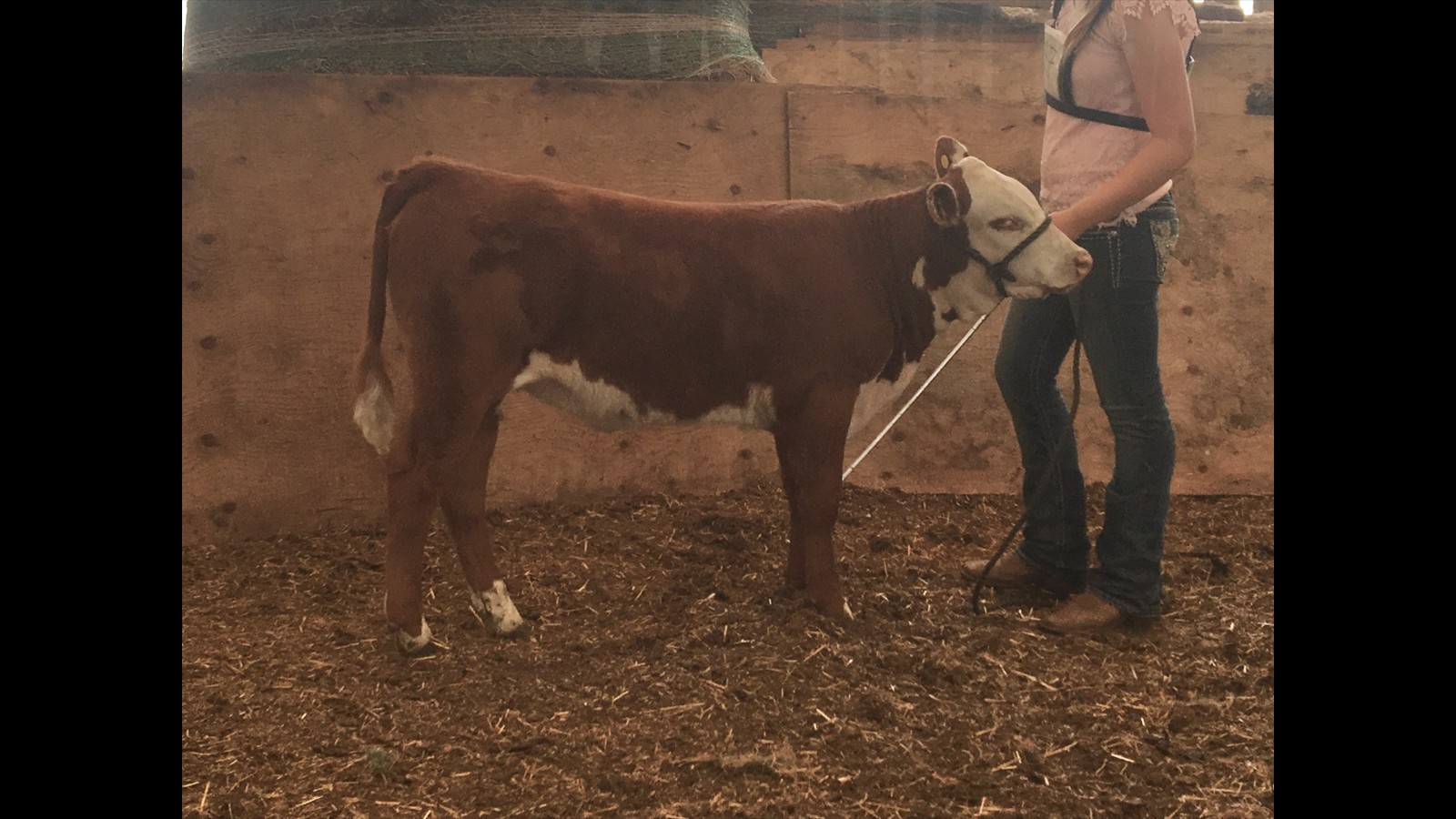 66-147-7-Lexie O'Connor