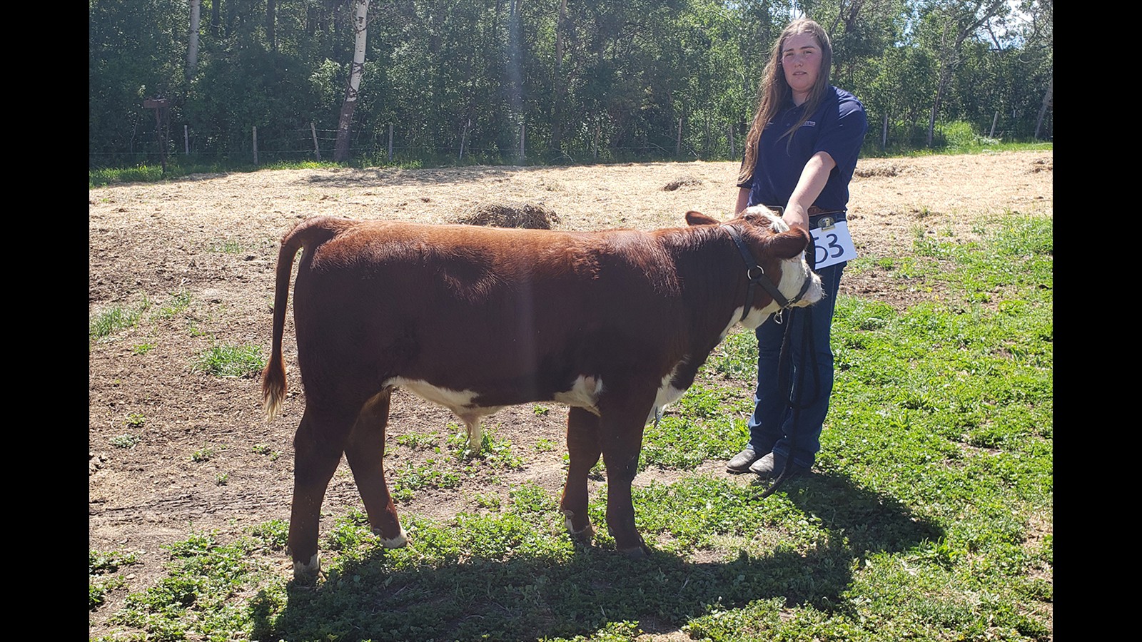 68-152-3B-Makaila Peutert Calf