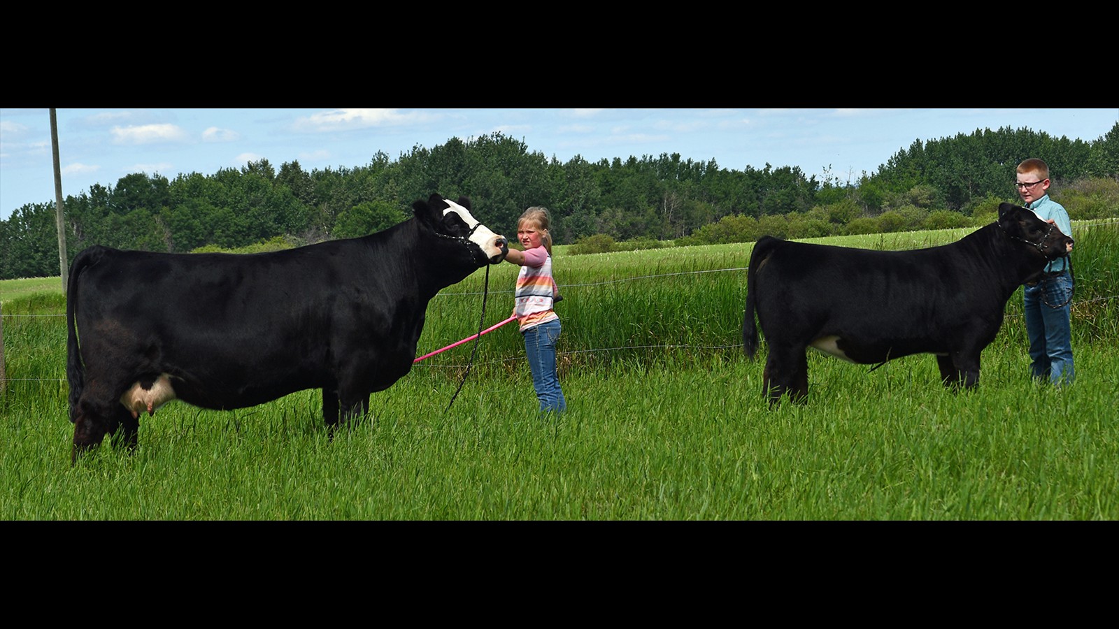 70G - Kade Rancier - PB 3YO - Pair