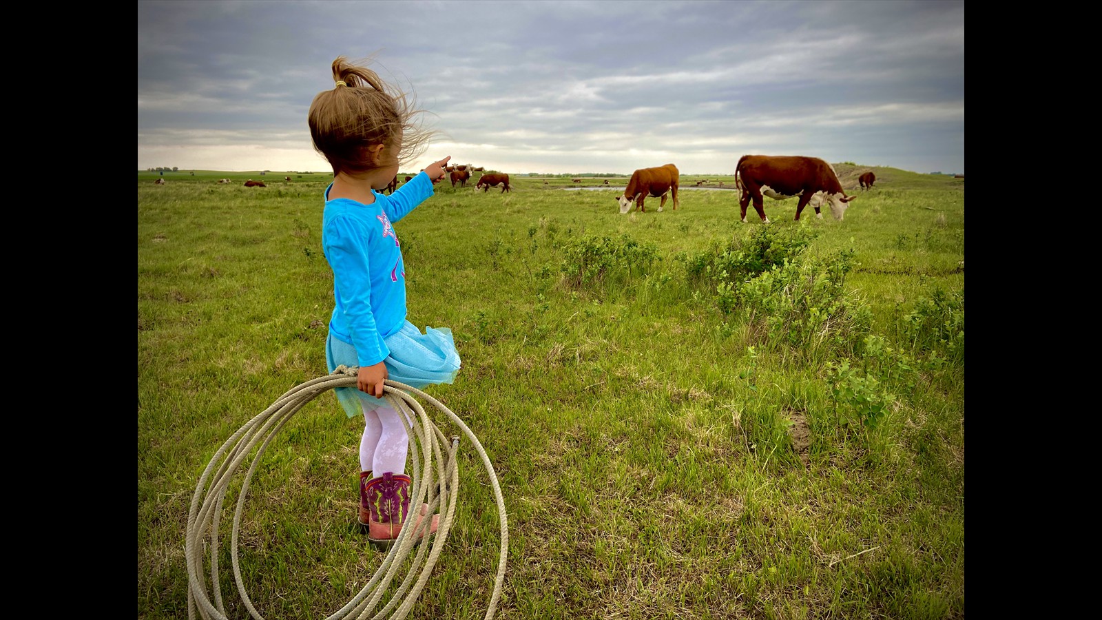 7-29 - Christin Dixon