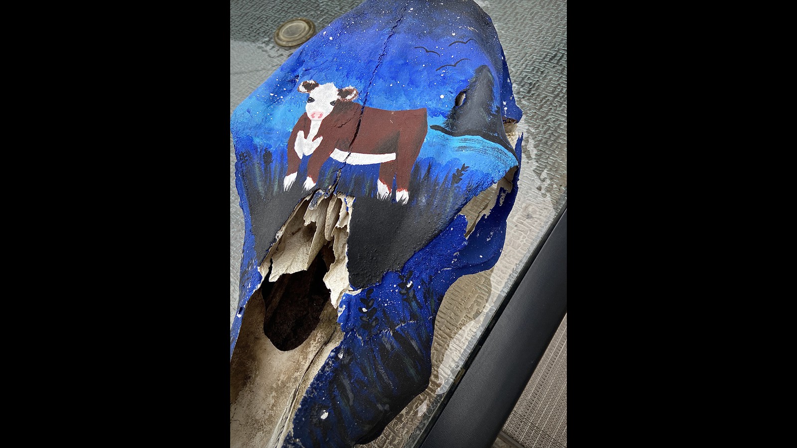 7-34 - Christin Dixon