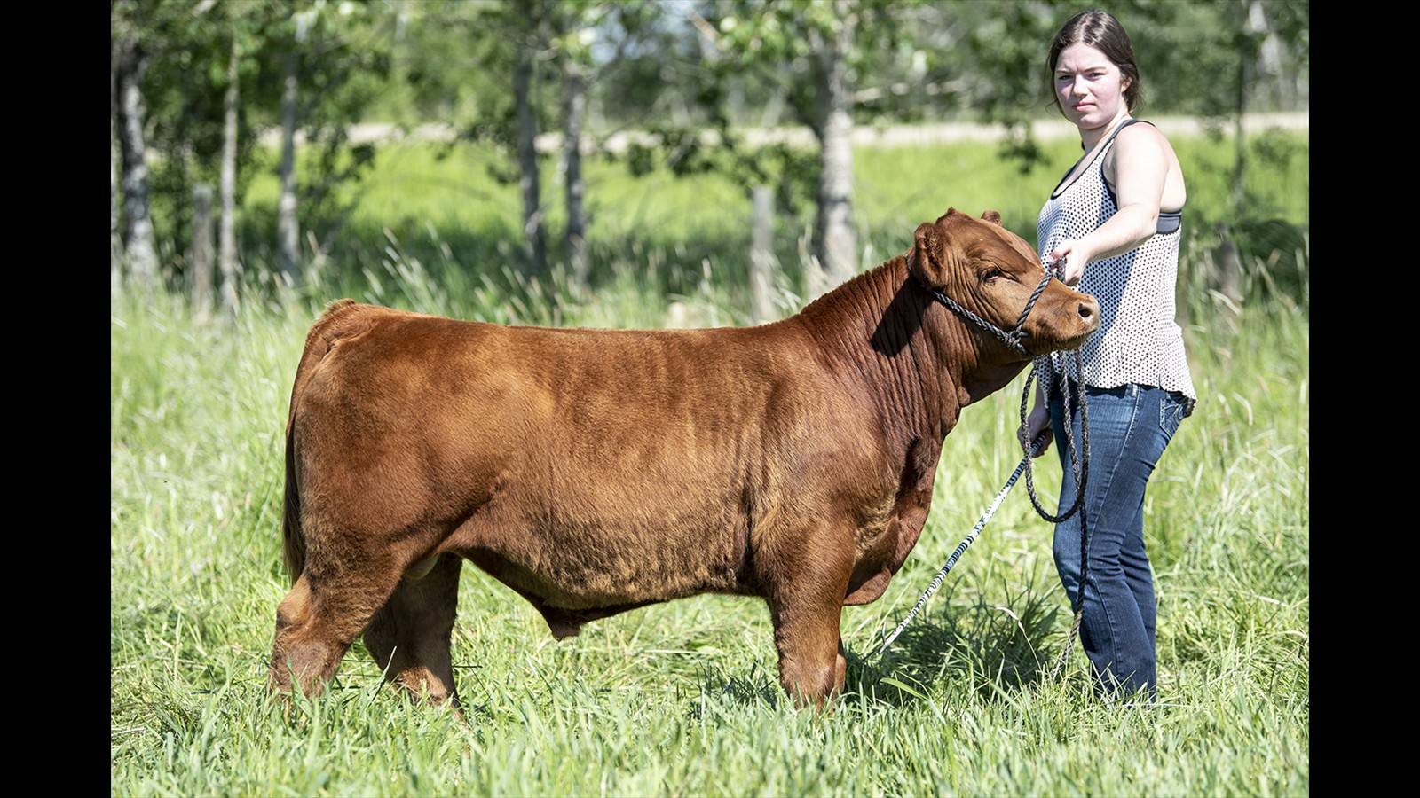 76C - Bailey Smith - PB Bull