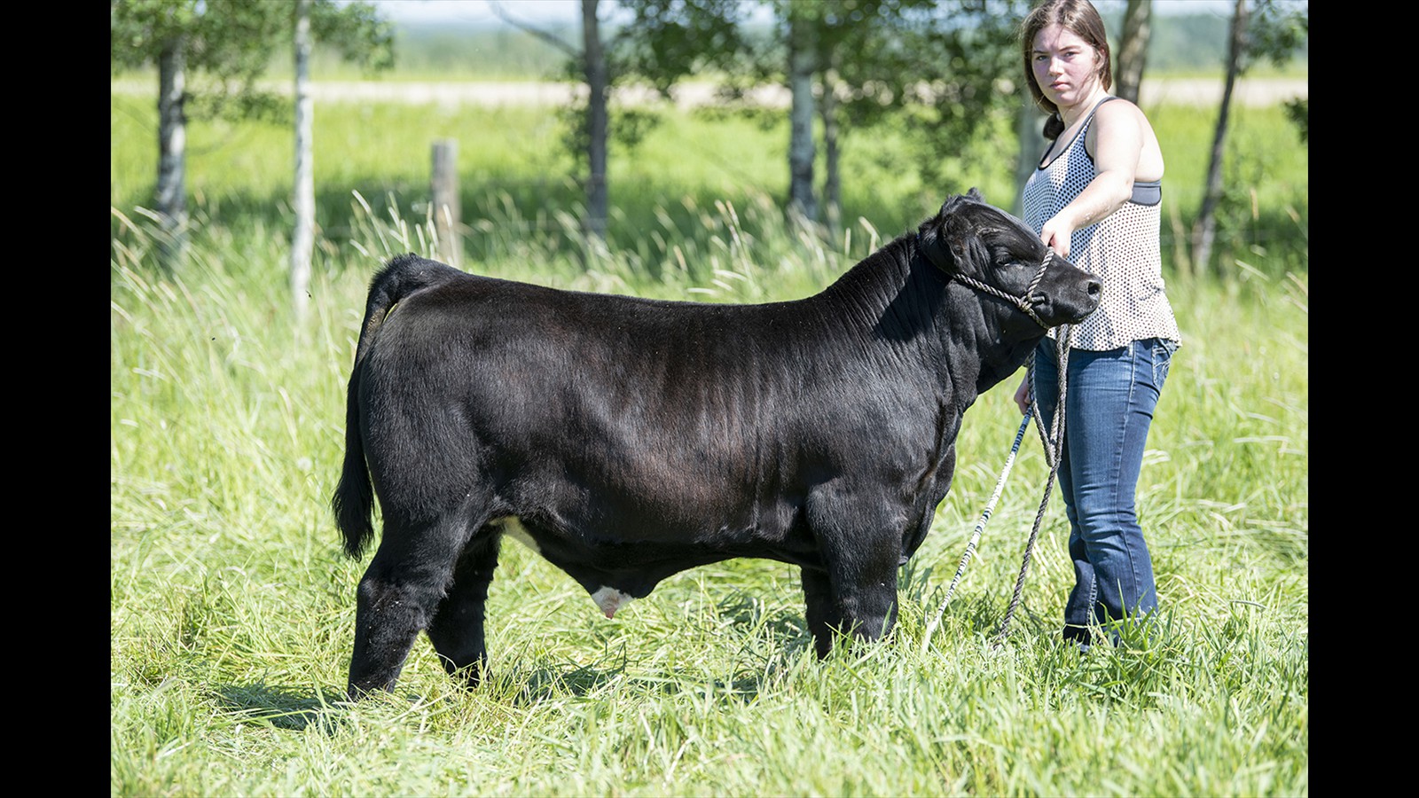 79C - Cassie Smith - PB Bull