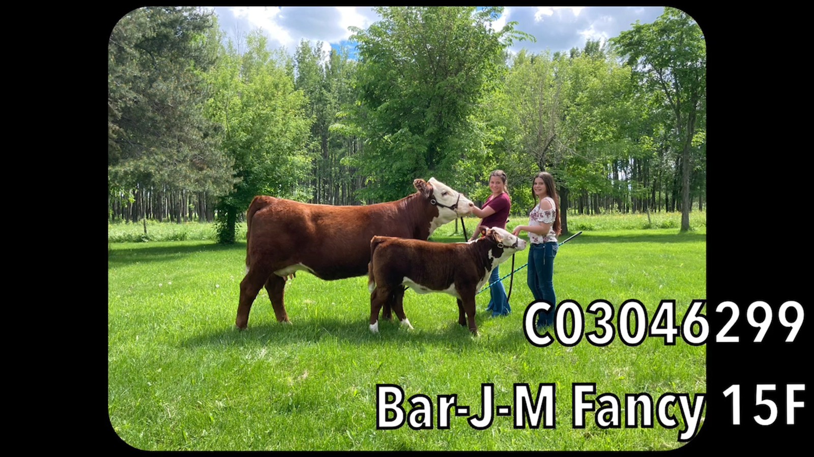 8-12-3B-Jordynn Rogers