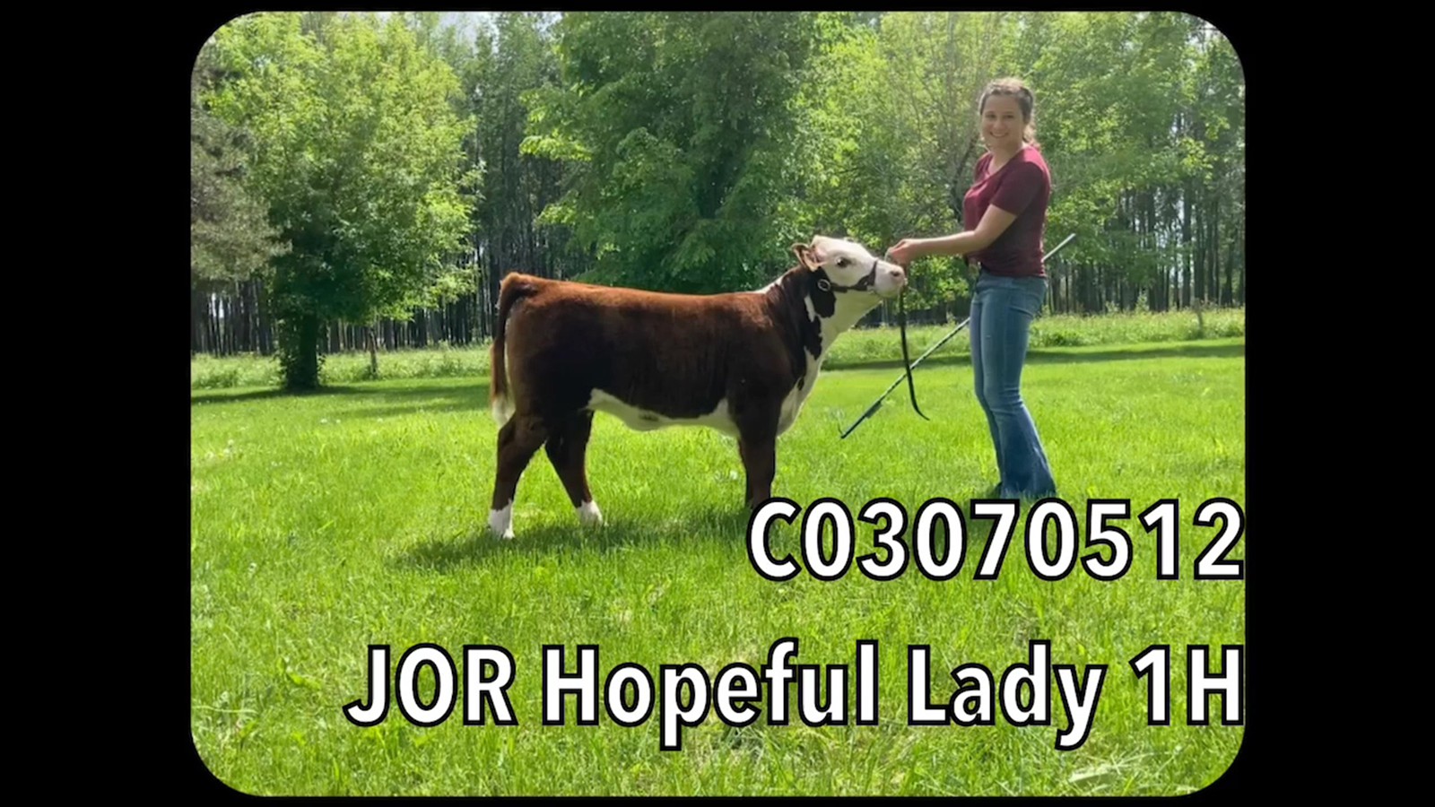 8-13-7A-Jordynn Rogers