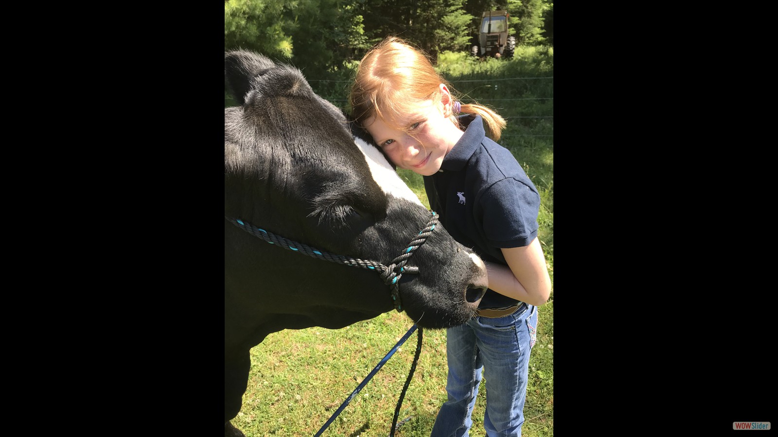 821J - Claudia Veilleux