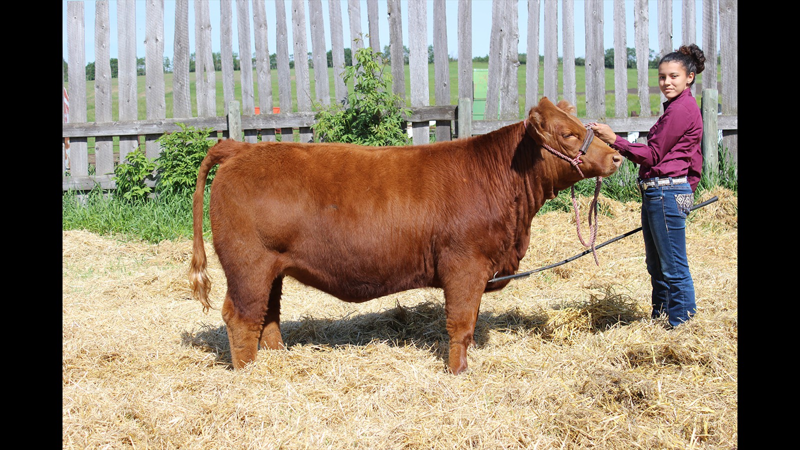 84E - Kallista Chessor - PB Yrl