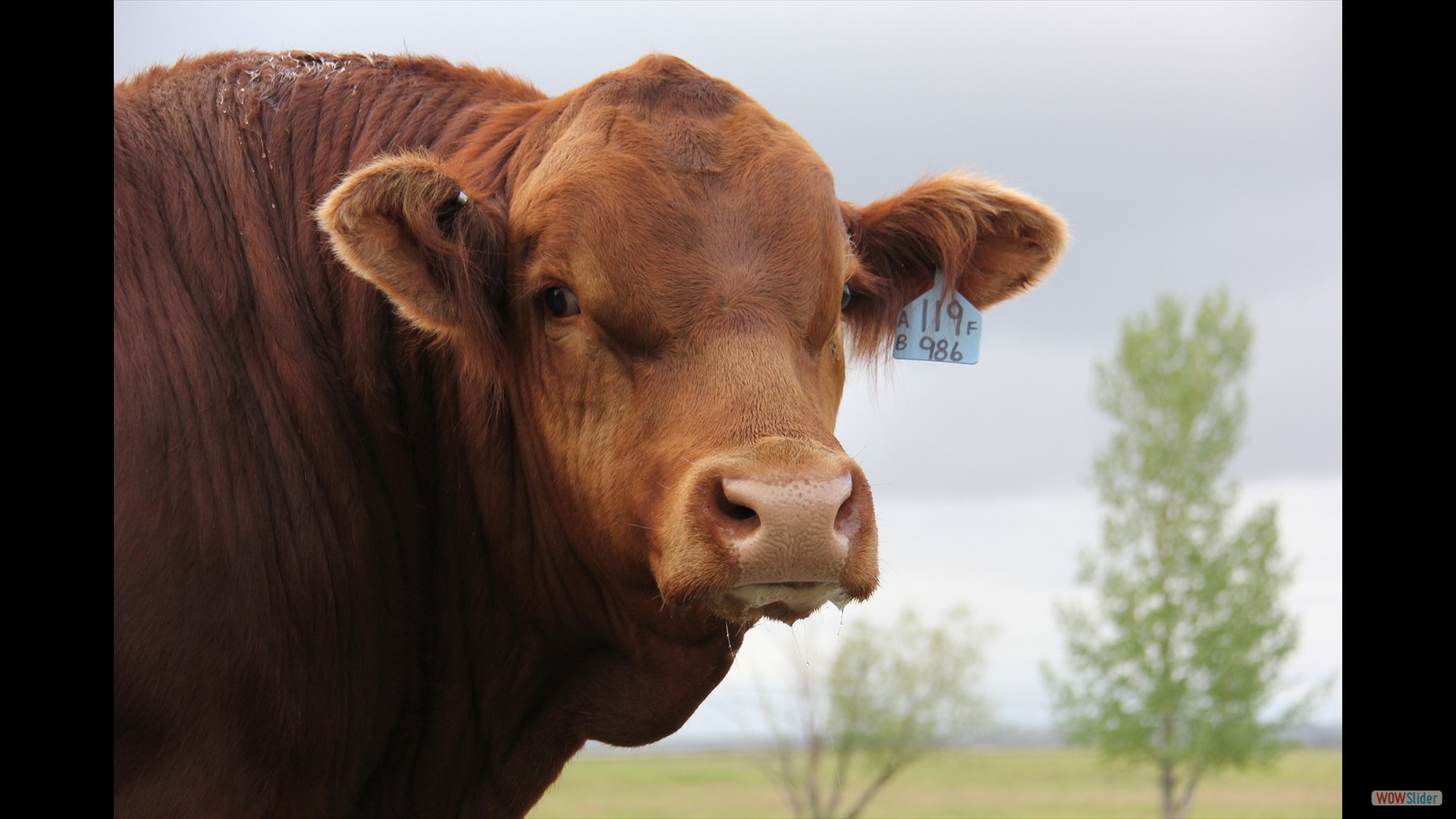 866J - Sydney McCormack