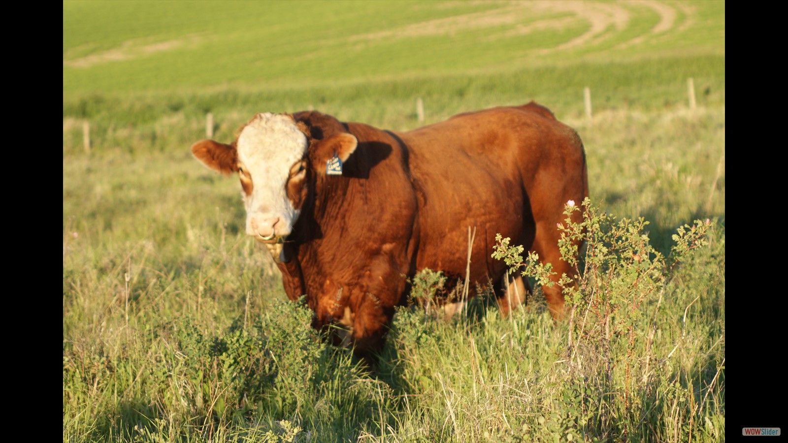 880N - Zayne LaBatte